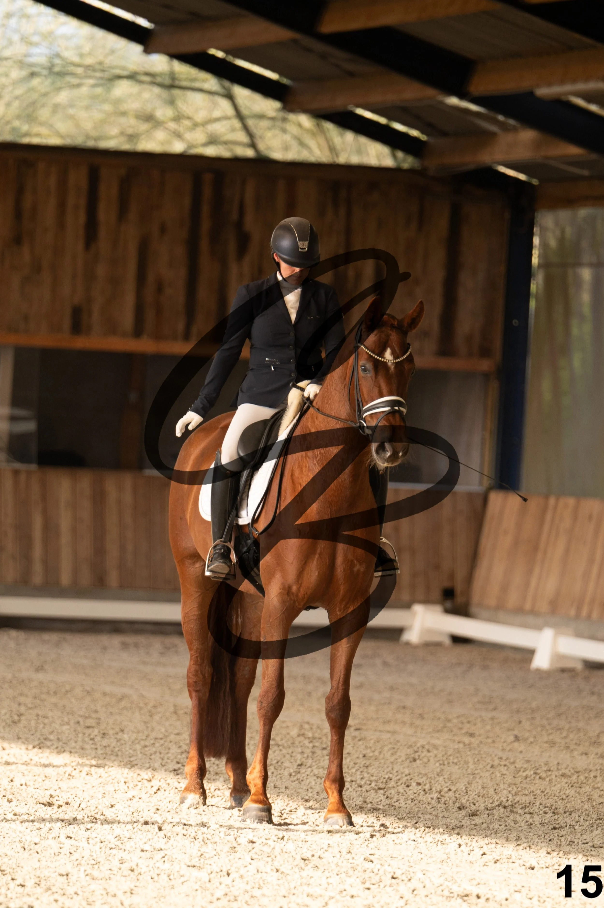 2026.03.22 - jeunes chevaux - 6ans-15.jpg