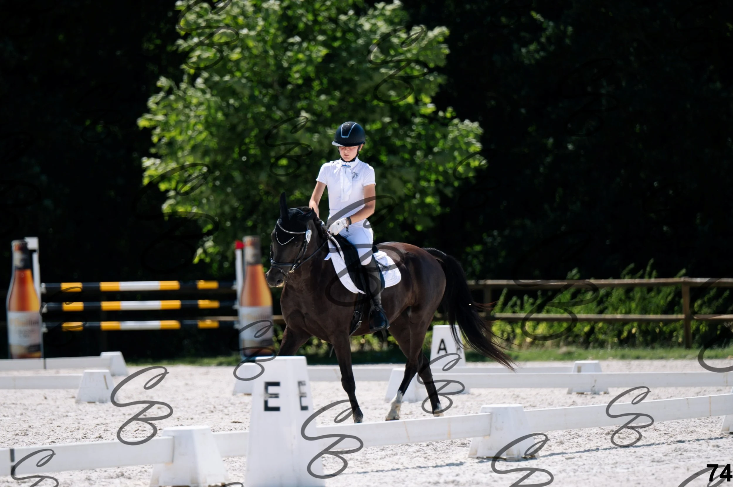 2026.07.12 - Niveau 1 - N1.5-74.jpg