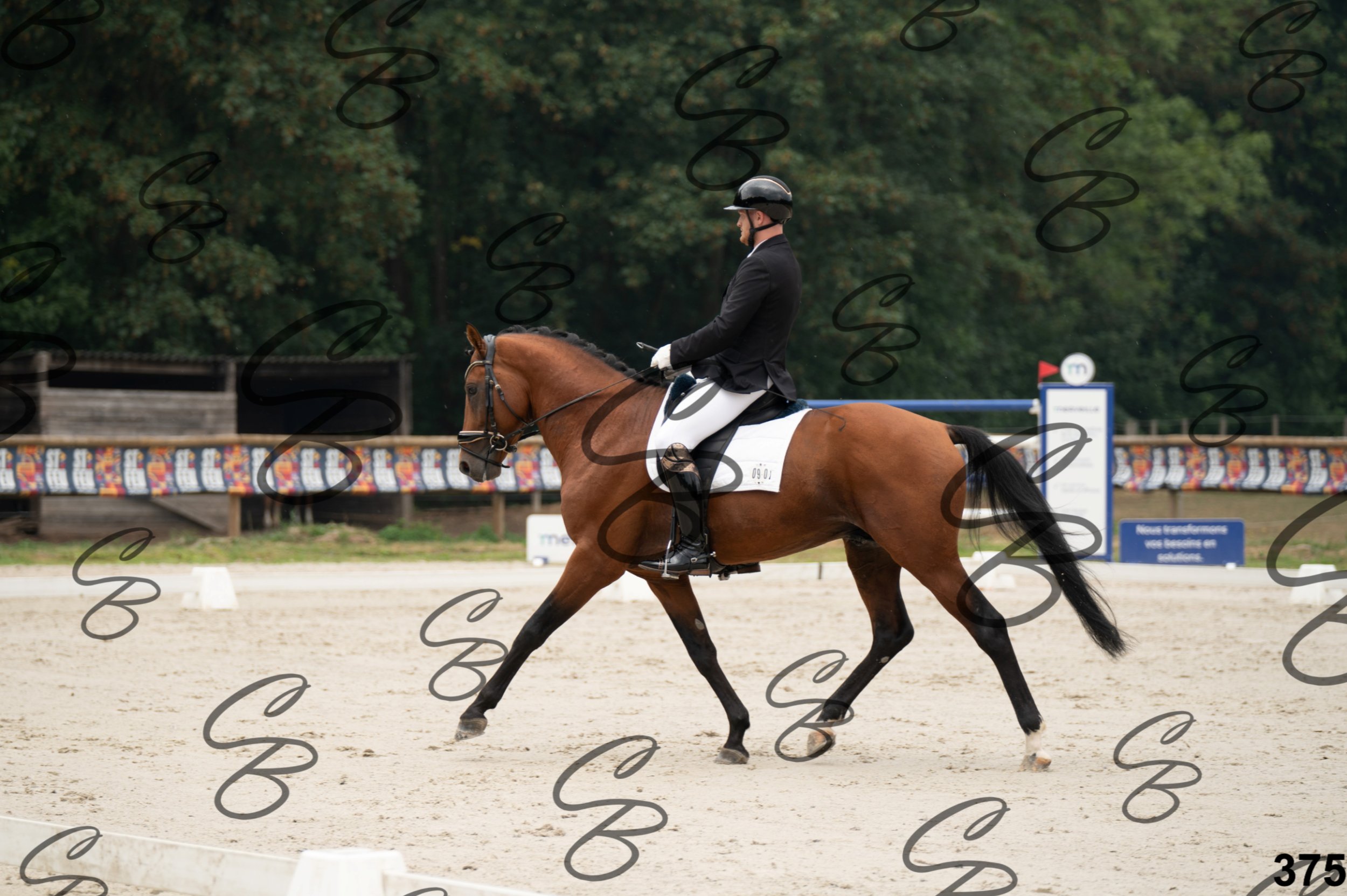 2026.08.15 - Louchier - GHO-556.jpg