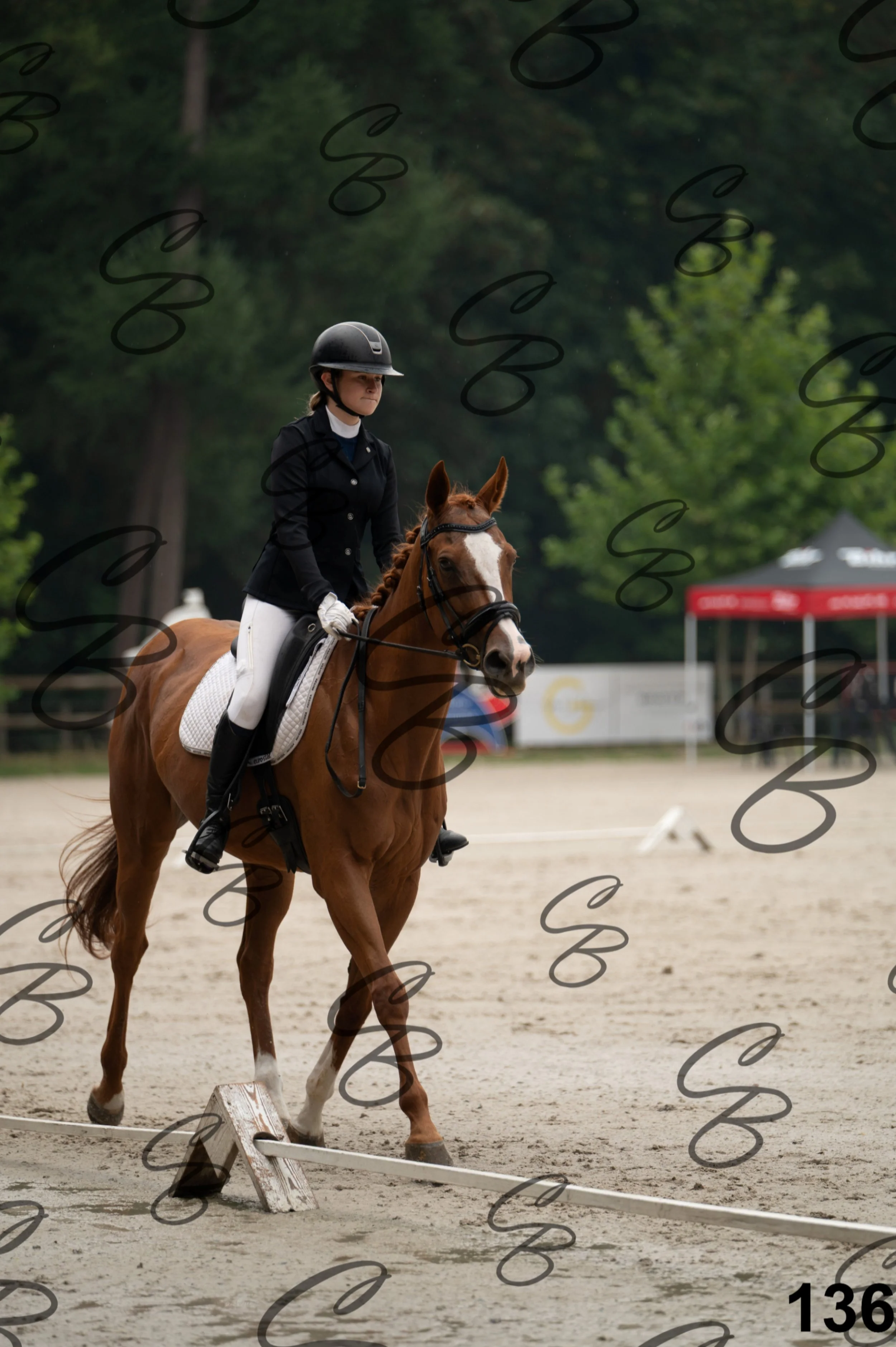 2026.08.15 - Louchier - GHO-212.jpg