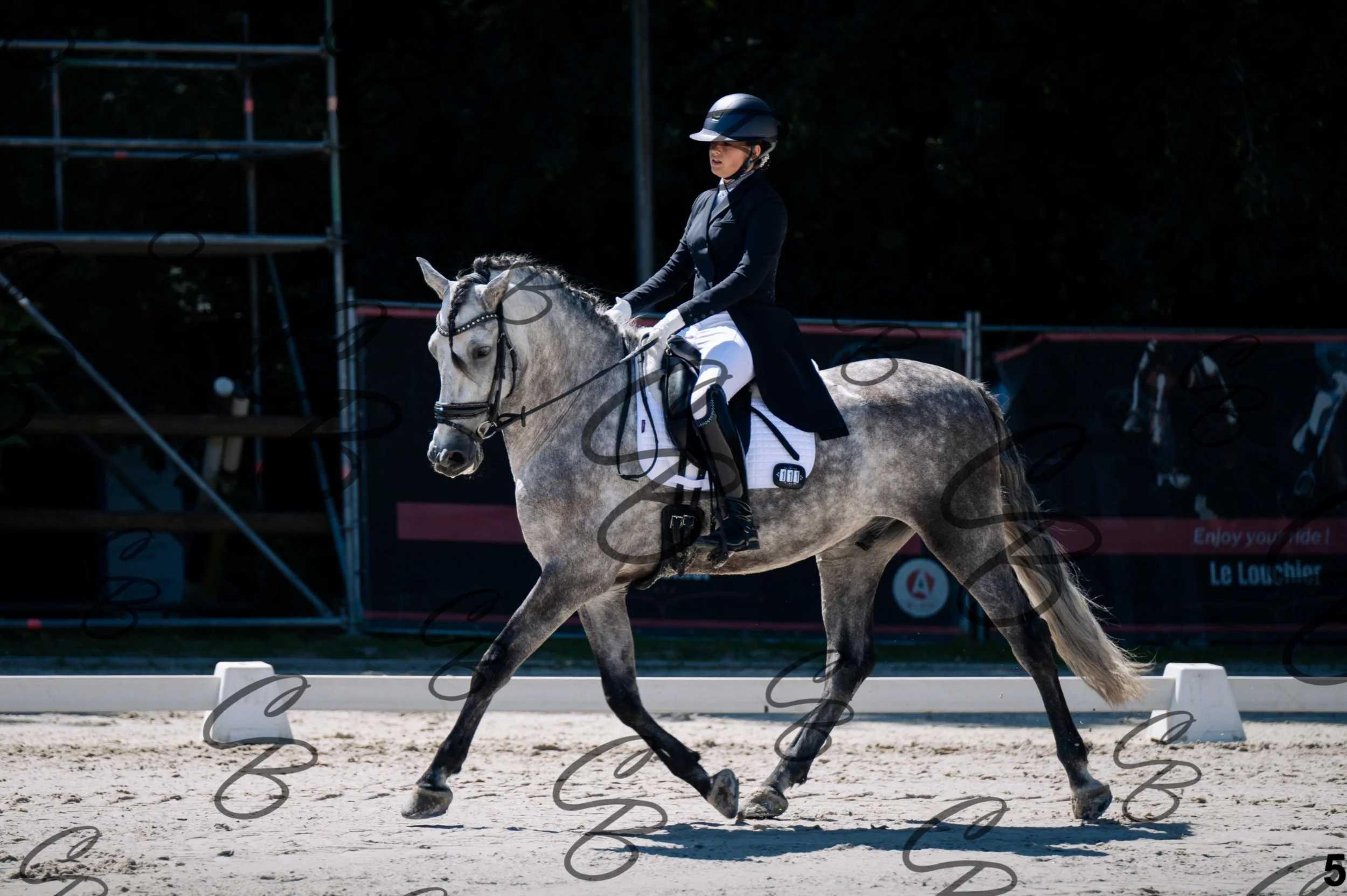 2026.07.11 - 4 RLM Carmencita - Niveau 1 - KÜR CARMENCITA-4.jpg