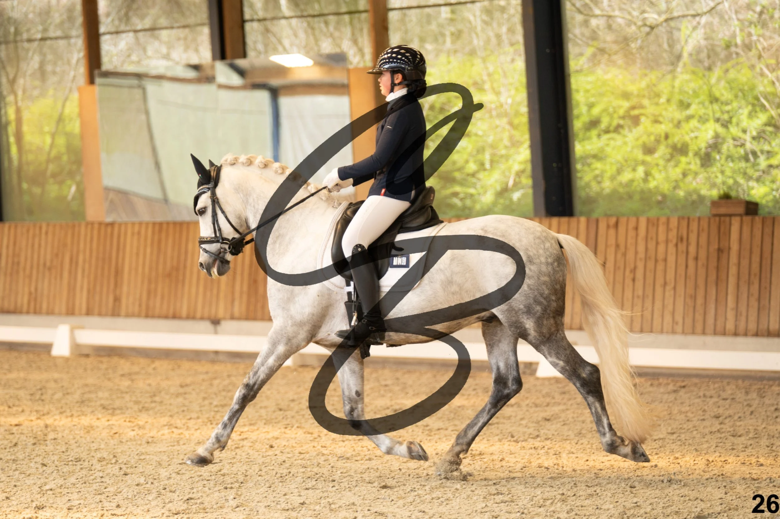 2026.03.22 - Niv3 - Pony individual test-26.jpg