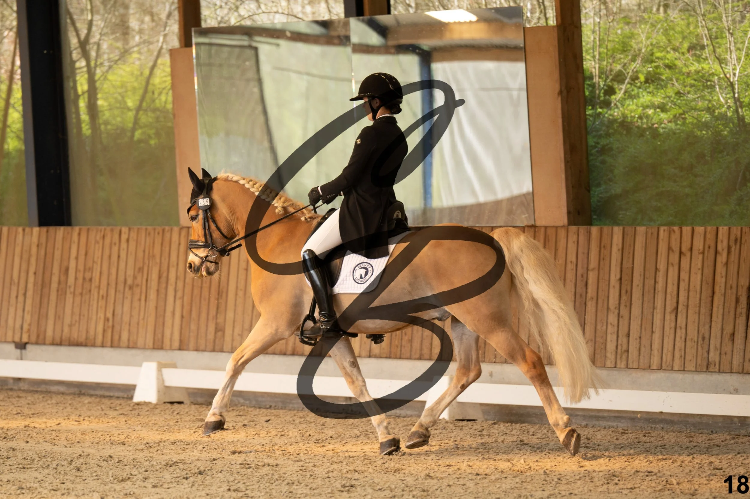 2026.03.22 - Niv4 - junior team test-18.jpg