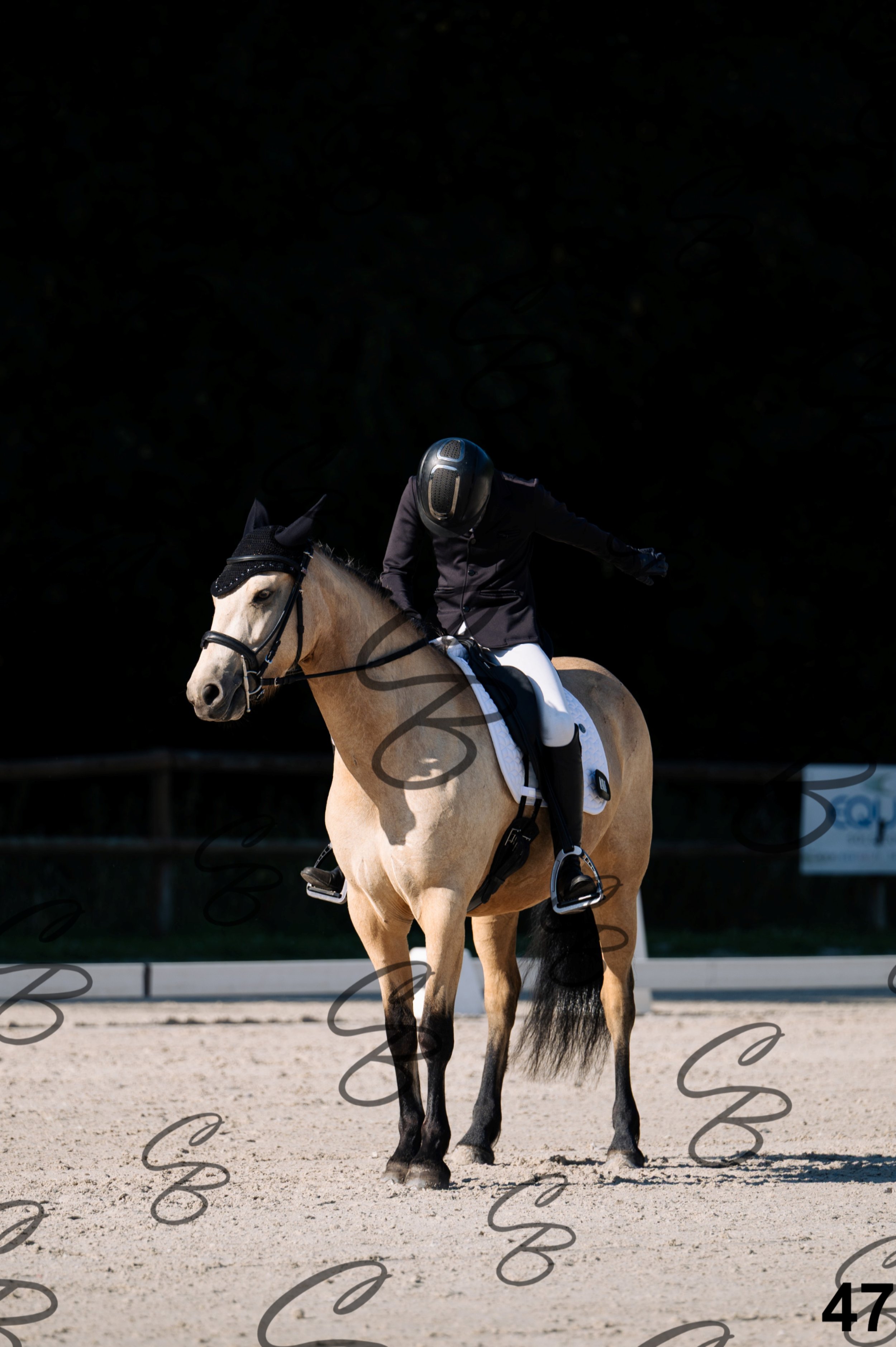 2026.07.12 - 103 Reprise Accueil-17.jpg