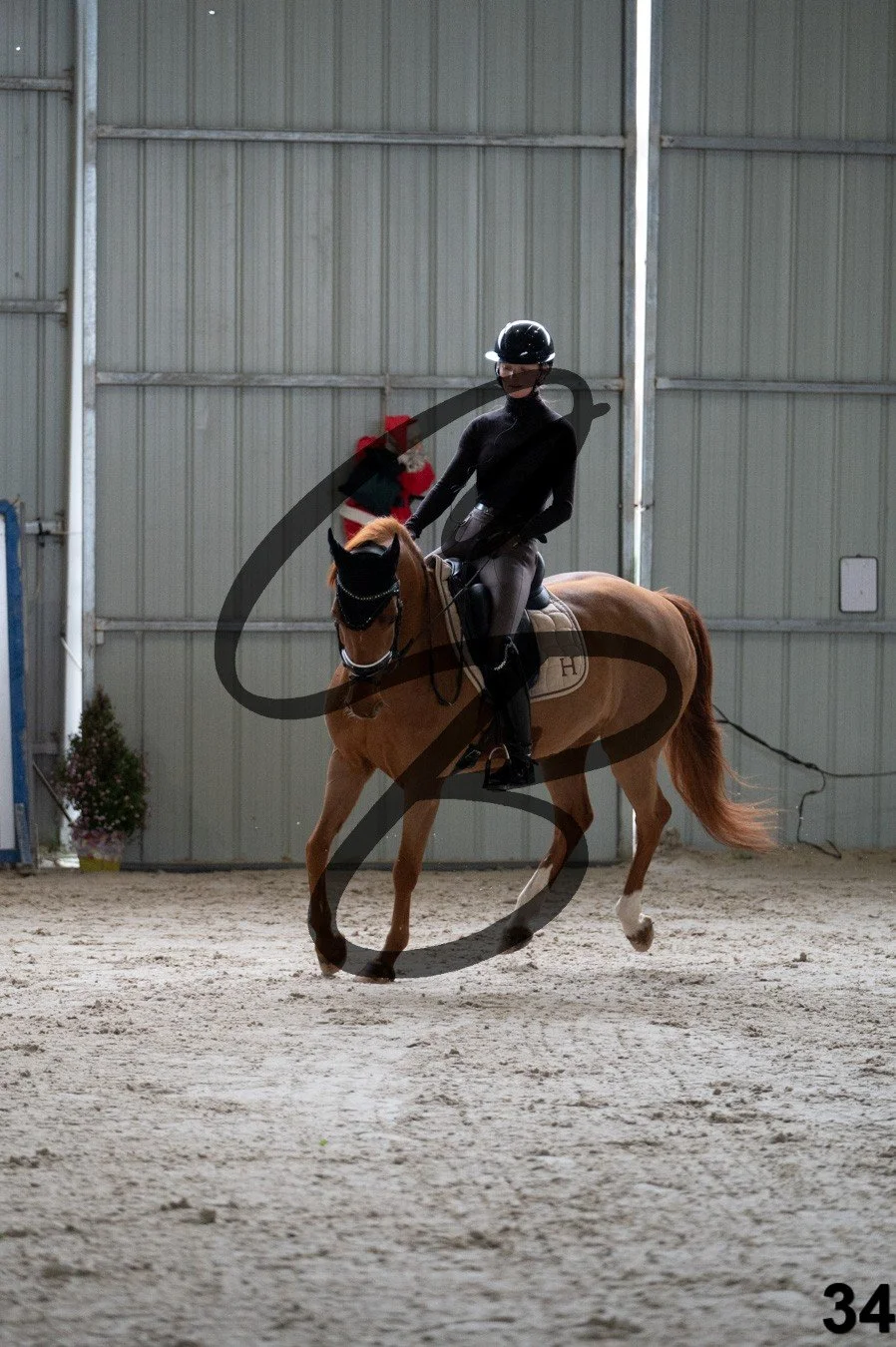 2025.12.06 - Manon&Mexx-34.jpg