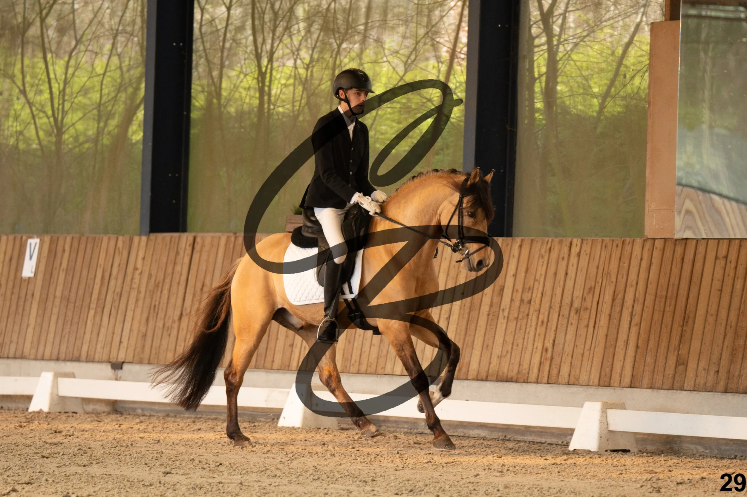 2026.03.22 - Niv3 - pony team test-29.jpg