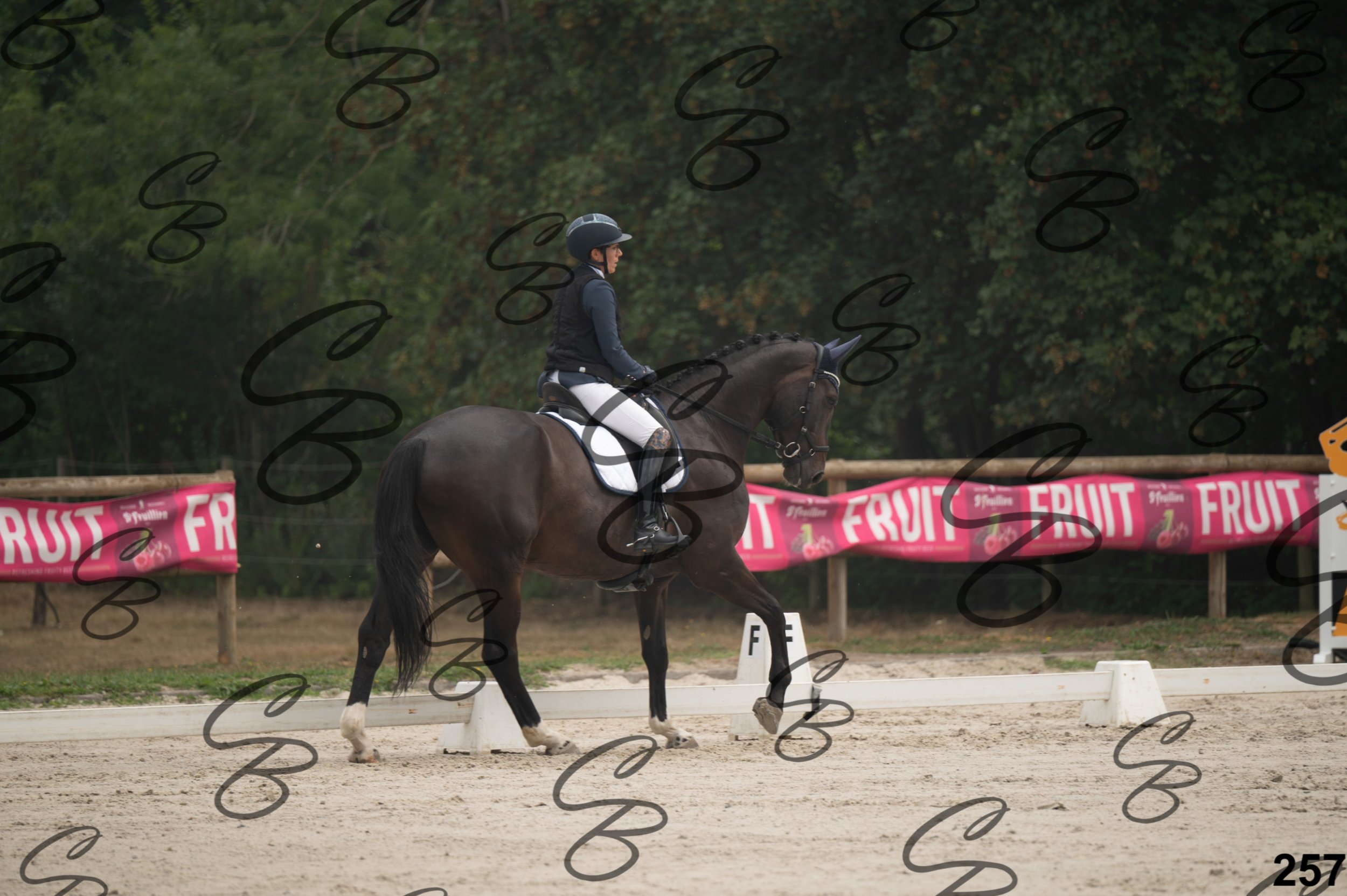 2026.08.15 - Louchier - GHO-362.jpg