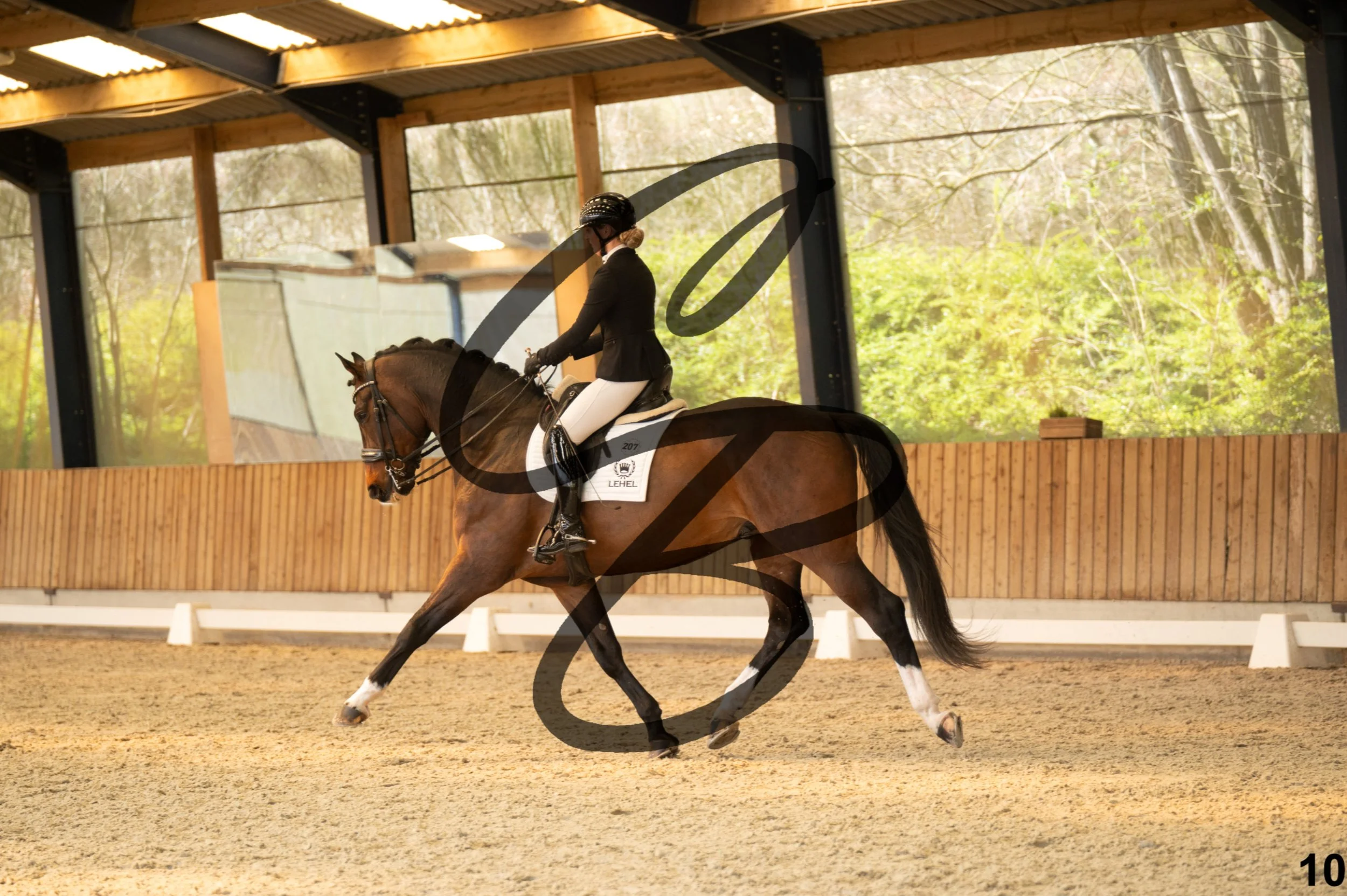 2026.03.22 - Grade 5 - grand prix test A-10.jpg