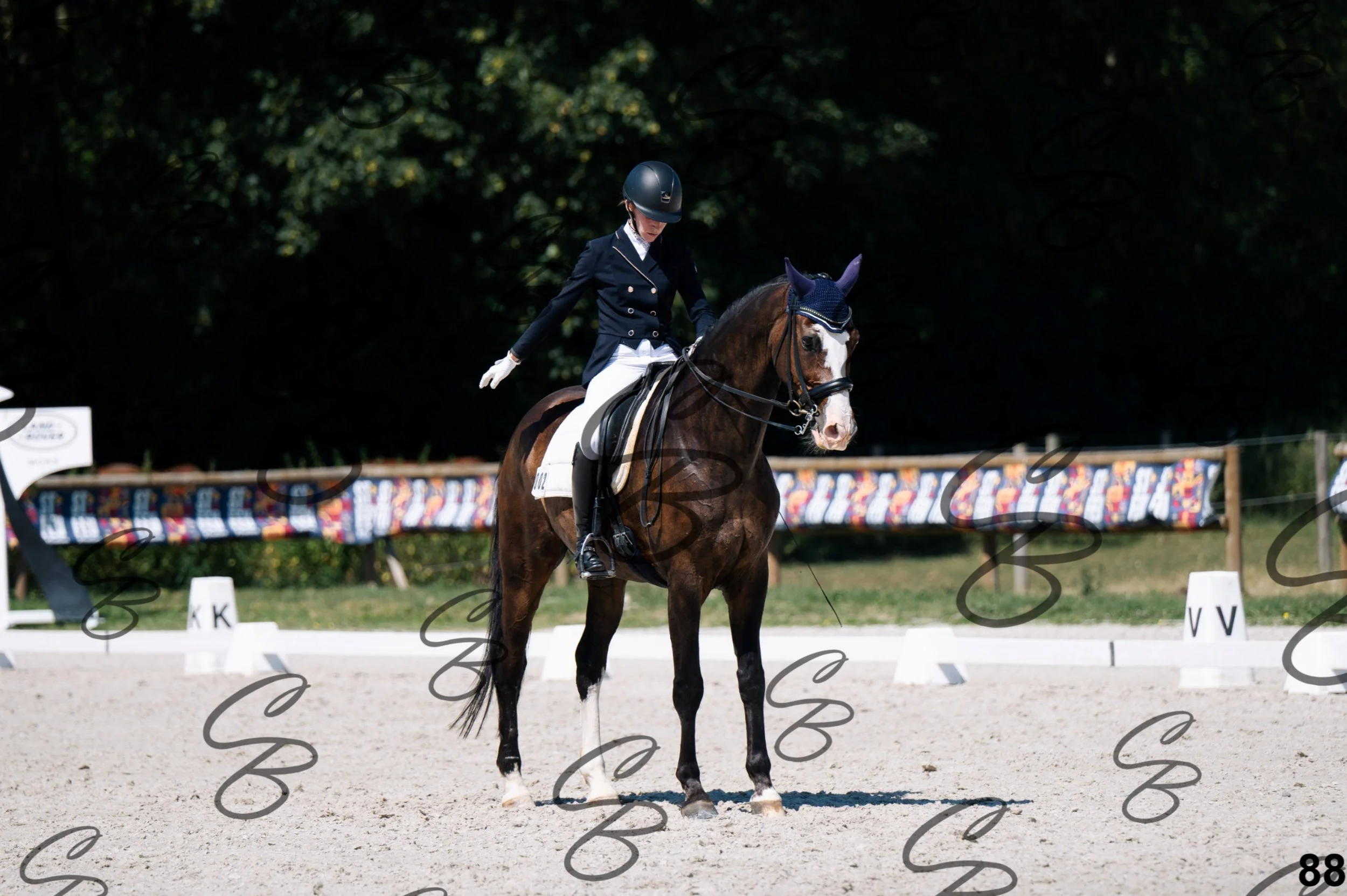 2026.07.12 - Niveau 4 - N4.3-88.jpg