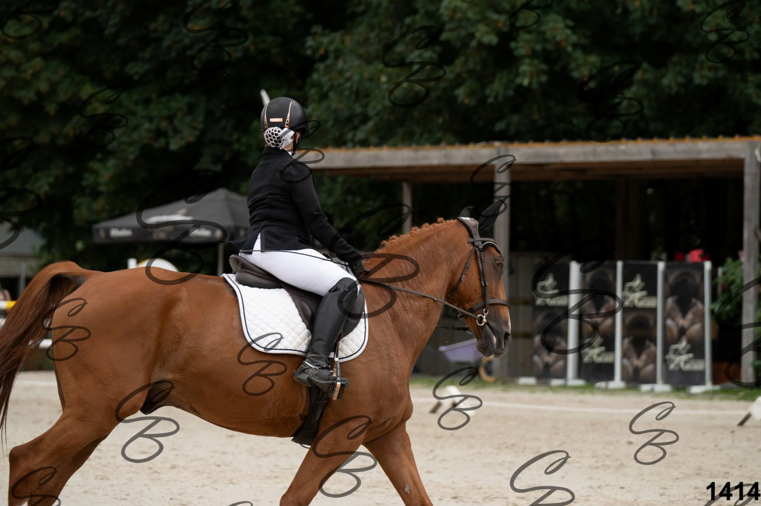 2026.08.16 - Louchier - GHO-198.jpg