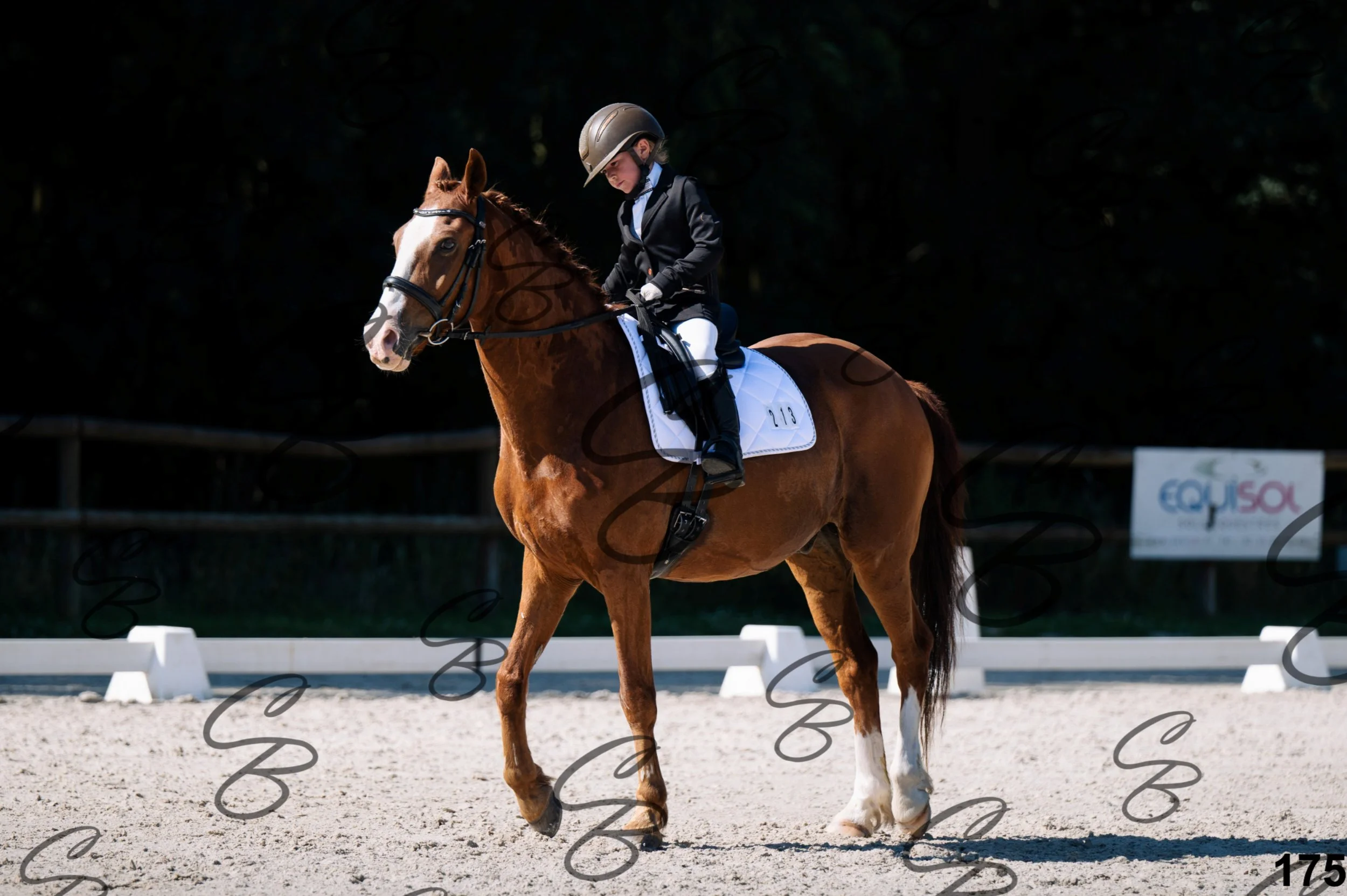 2026.07.12 - 106 Niveau Initiation Poneys - Ini.6-3-2.jpg