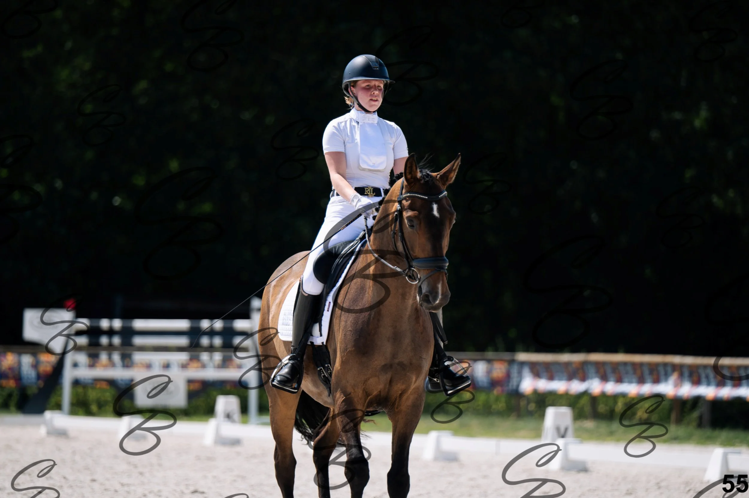 2026.07.12 - Niveau 2 - N2.4-55.jpg