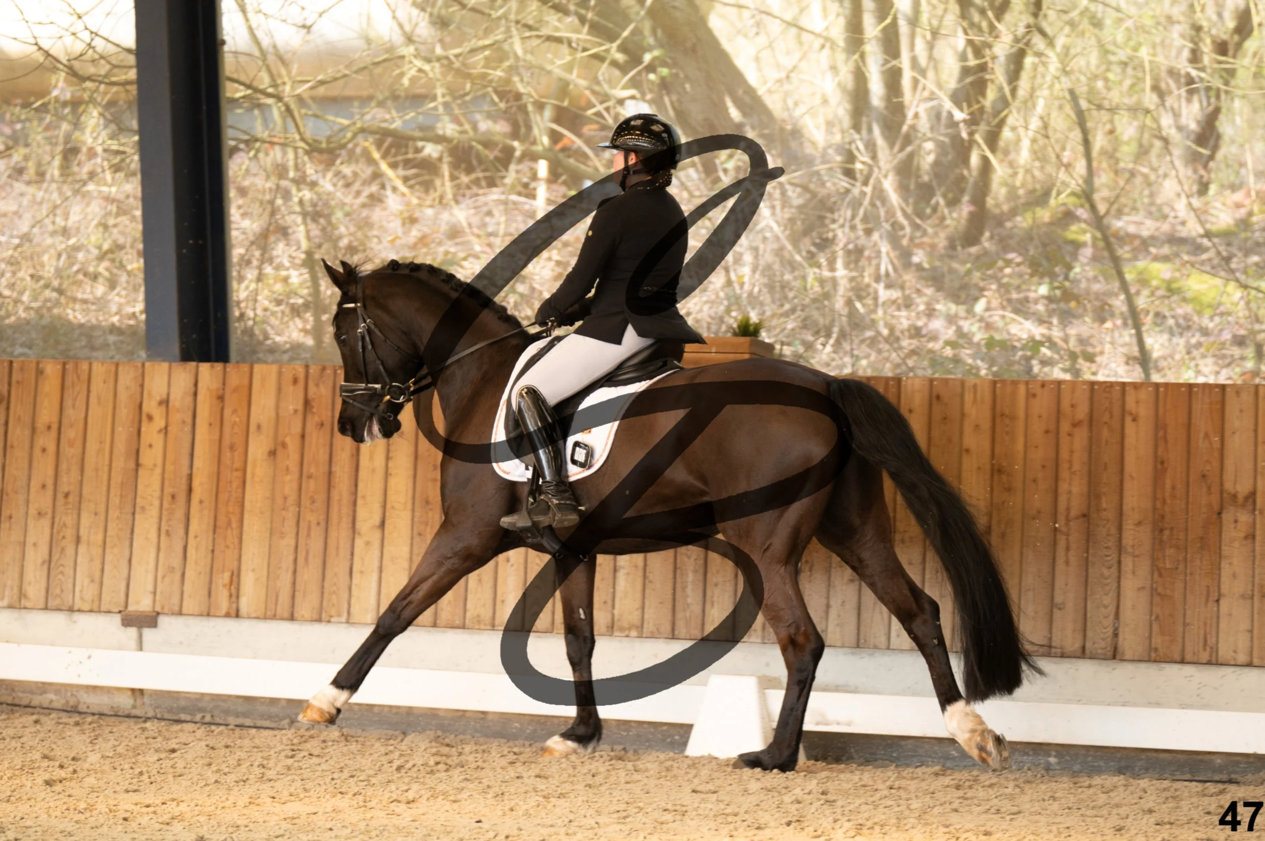 2026.03.22 - Niv4 - junior team test-47.jpg