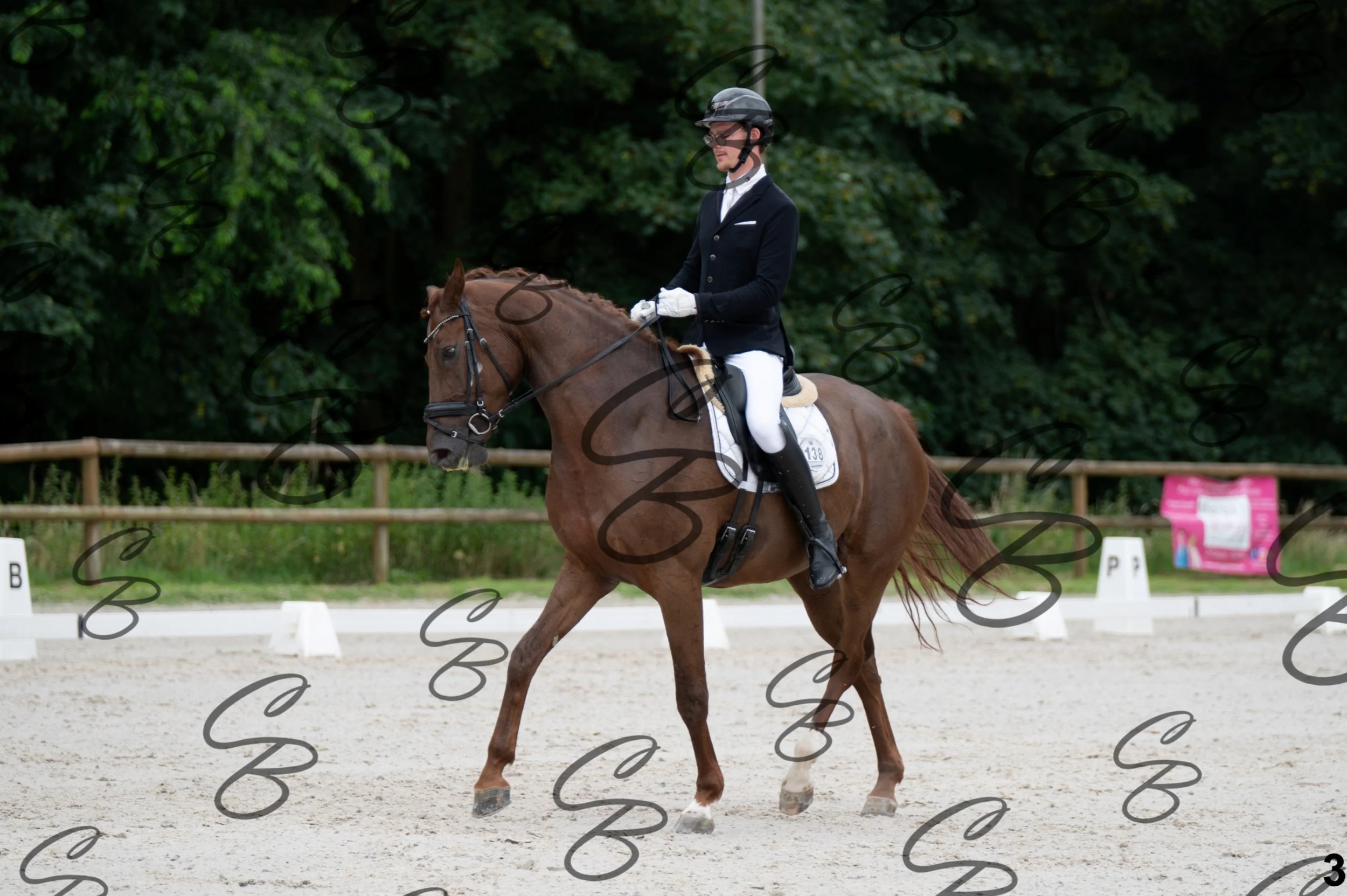 2026.07.04 - 1 Robin robert-3.jpg