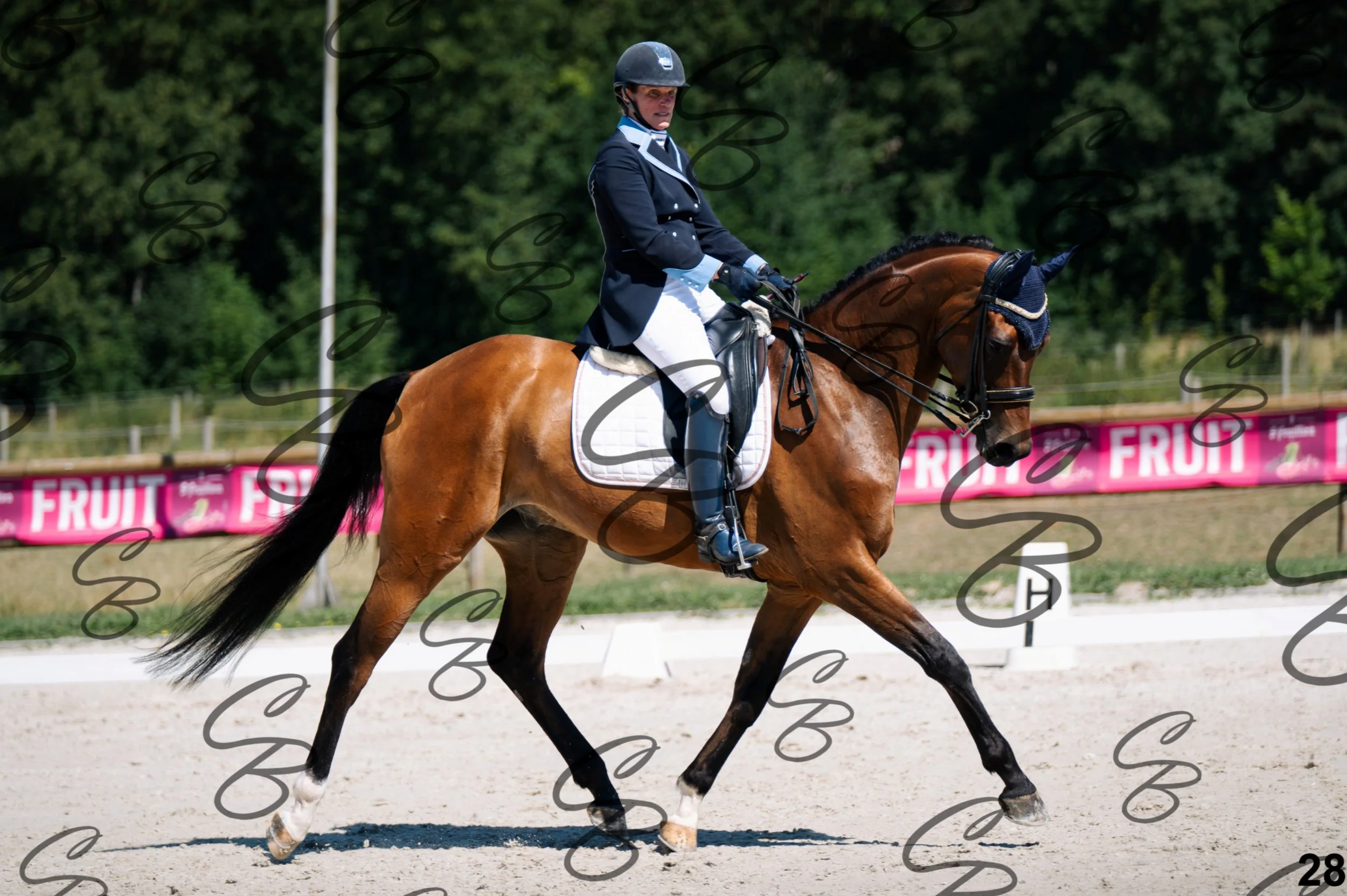 2026.07.12 - Niveau 4 - N4.3-28.jpg