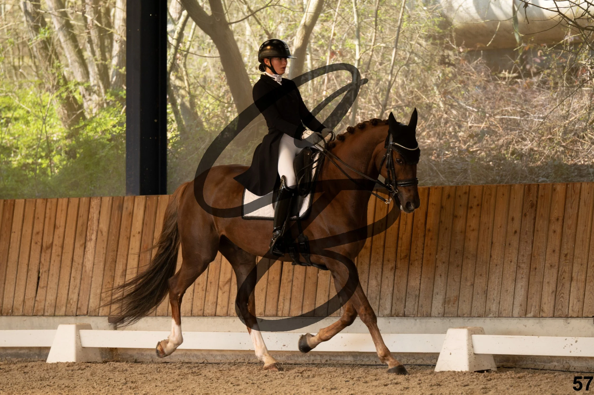 2026.03.22 - Niv4 - junior team test-57.jpg