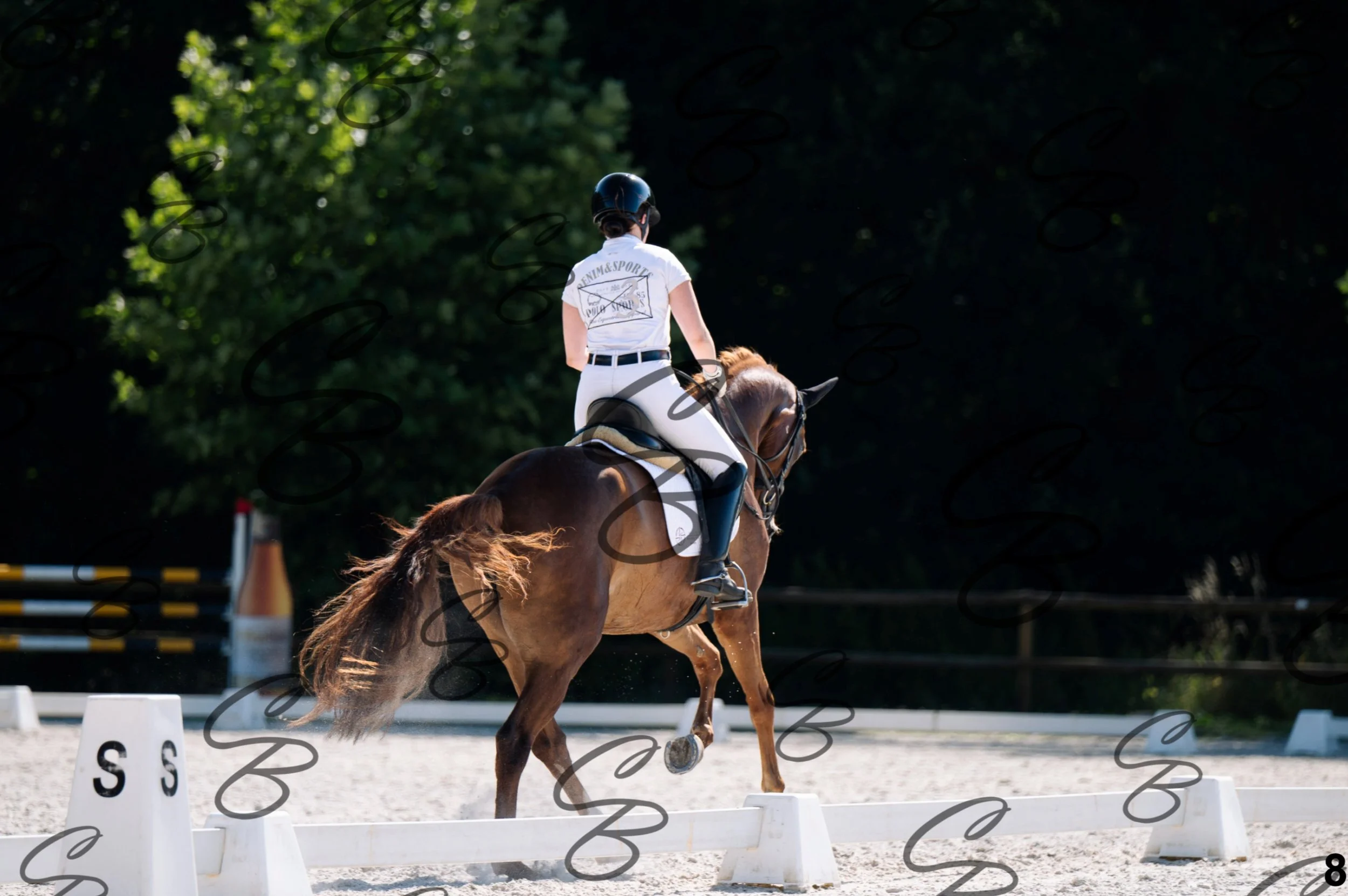 2026.07.12 - Jeunes chevaux - FEI 5YH Preliminary Test-8.jpg