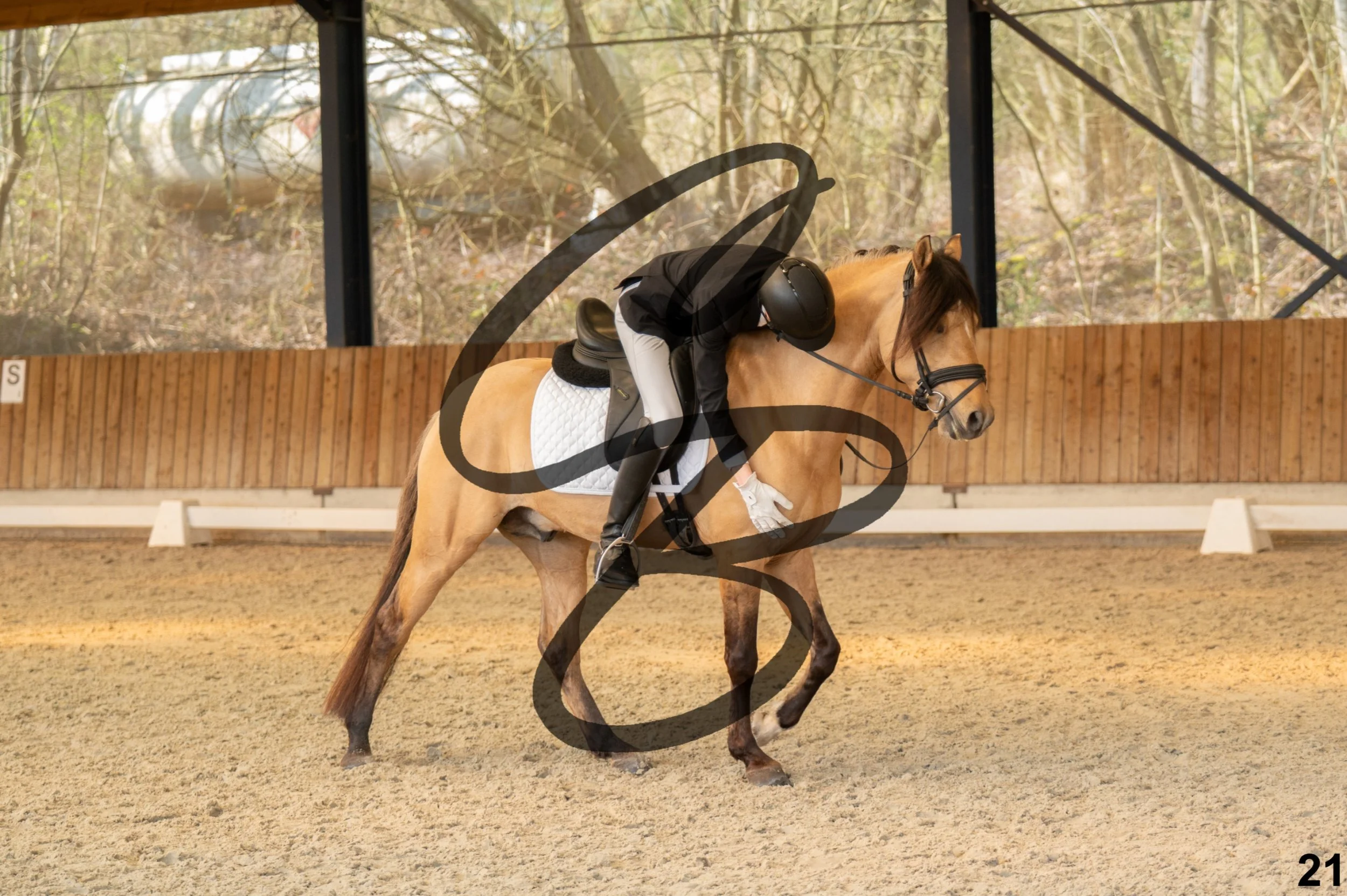 2026.03.22 - Niv3 - Pony individual test-21.jpg