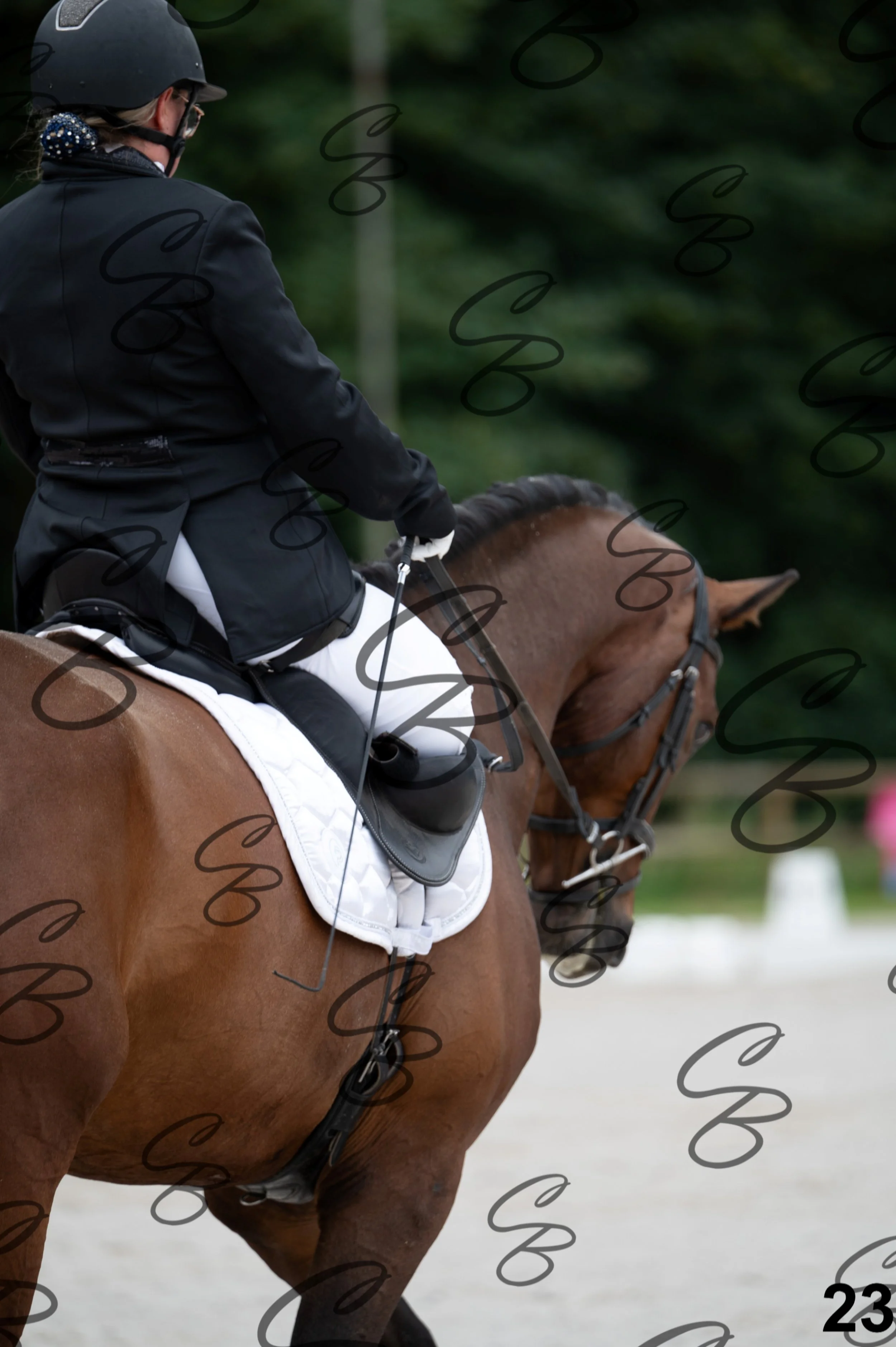 2026.07.04 - Emeline parmentier-12.jpg