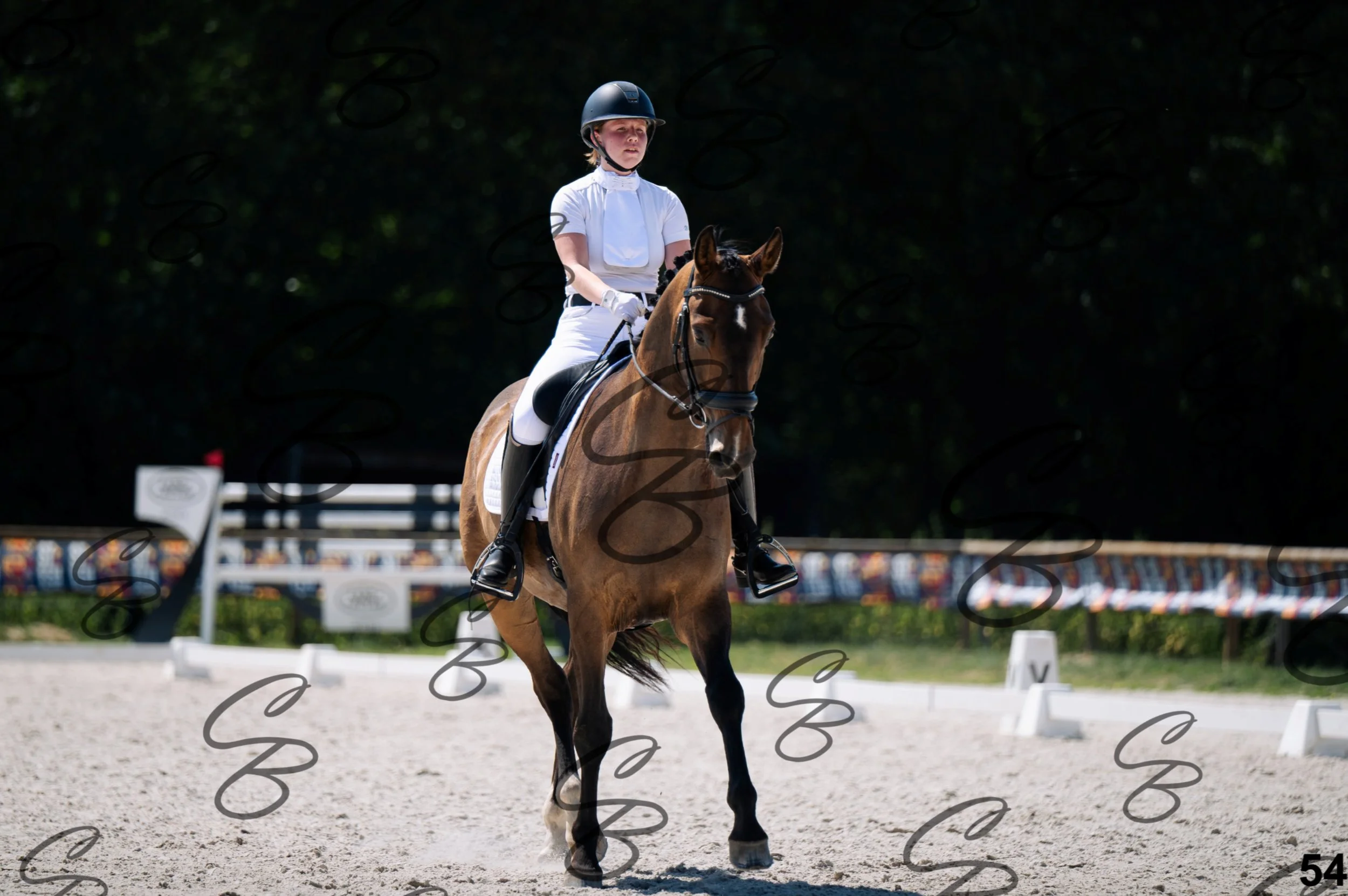 2026.07.12 - Niveau 2 - N2.4-54.jpg