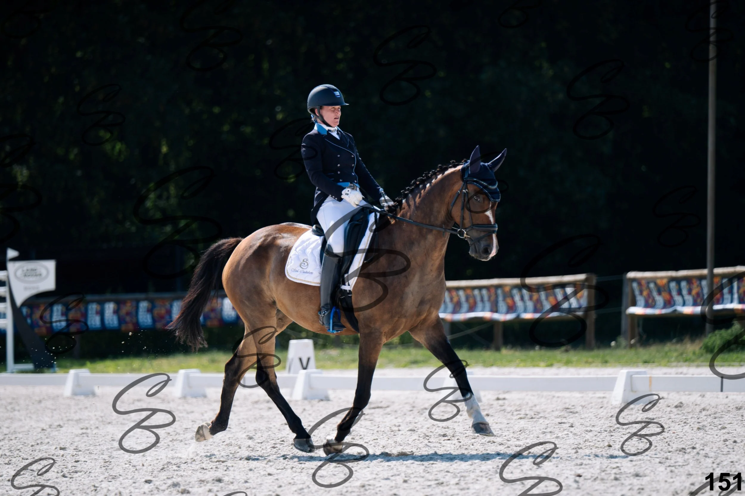 2026.07.12 - Niveau 2 - N2.4-151.jpg