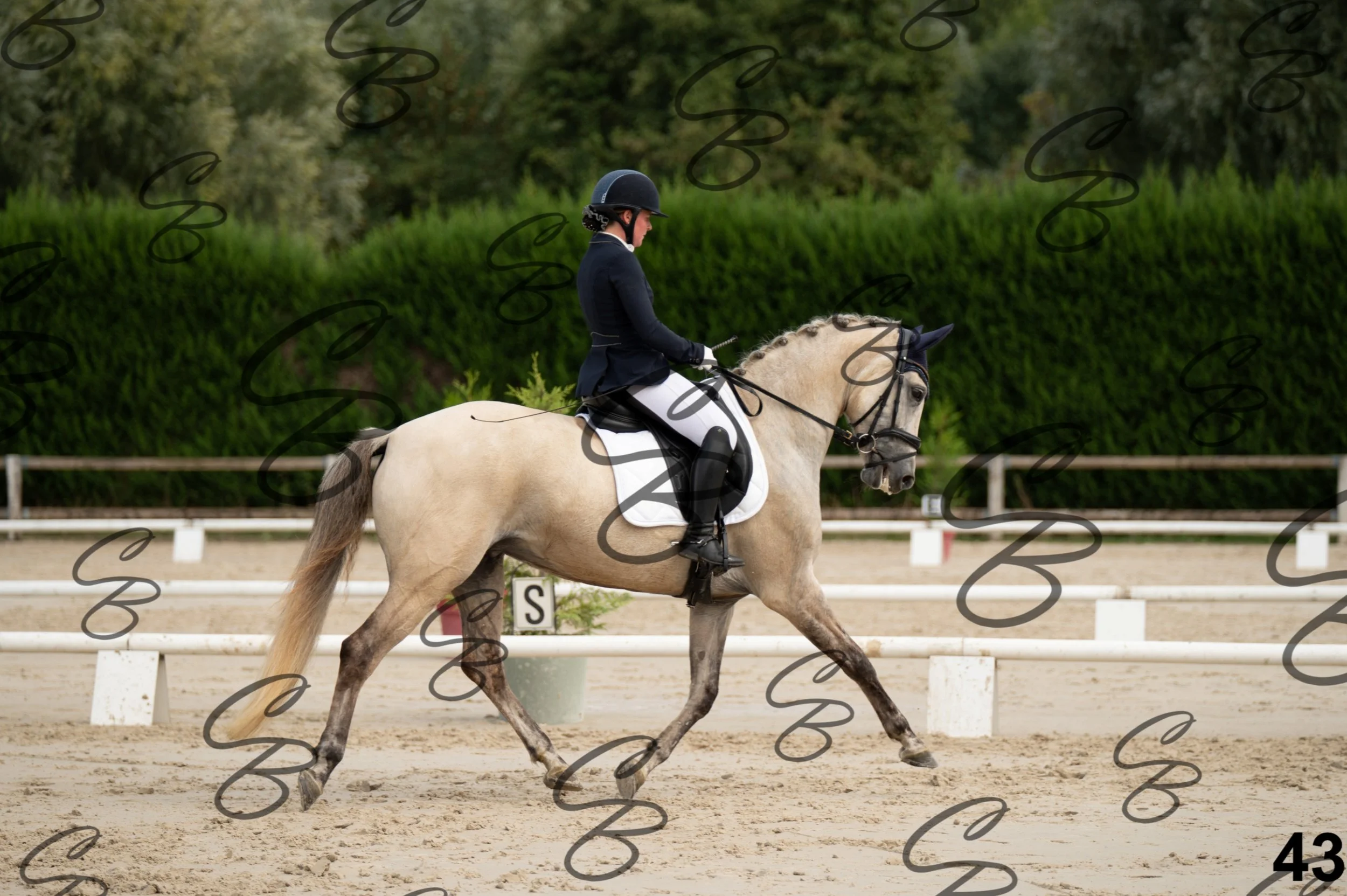 2026.09.20 - Djessy-43.jpg