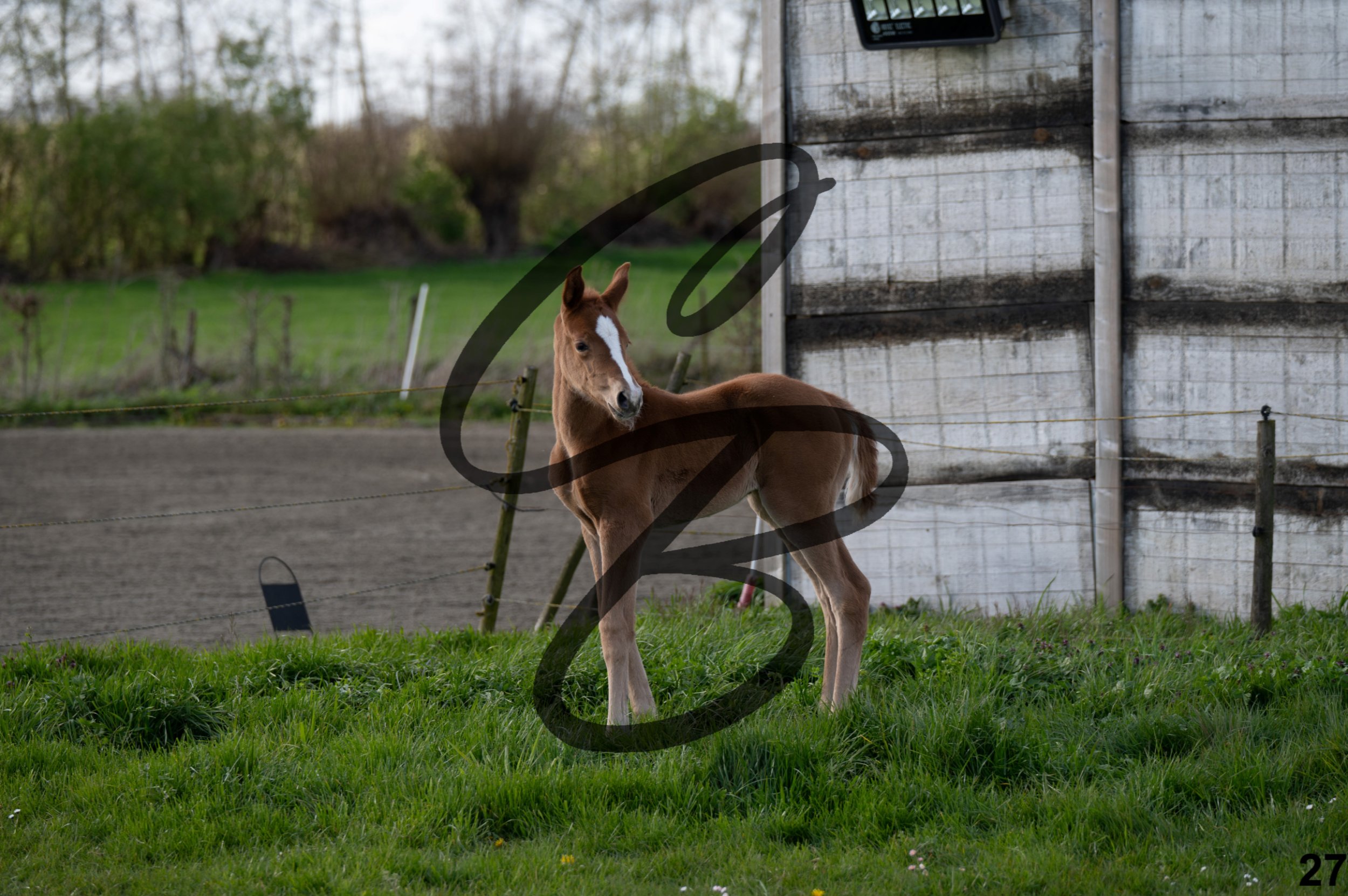 2026.03.28 - Galerie photo - shooting concours-31.jpg