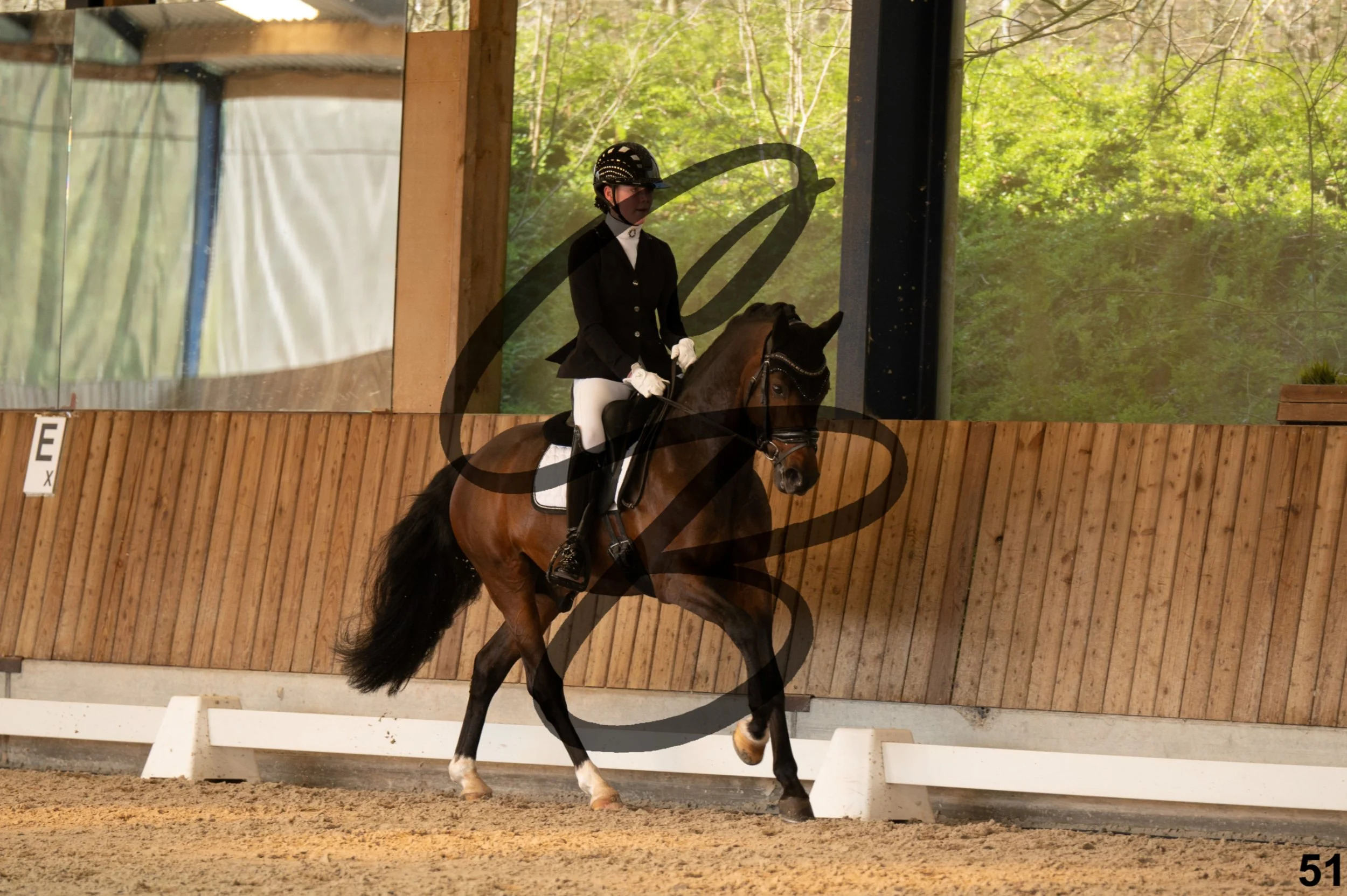 2026.03.22 - Niv3 - pony team test-51.jpg