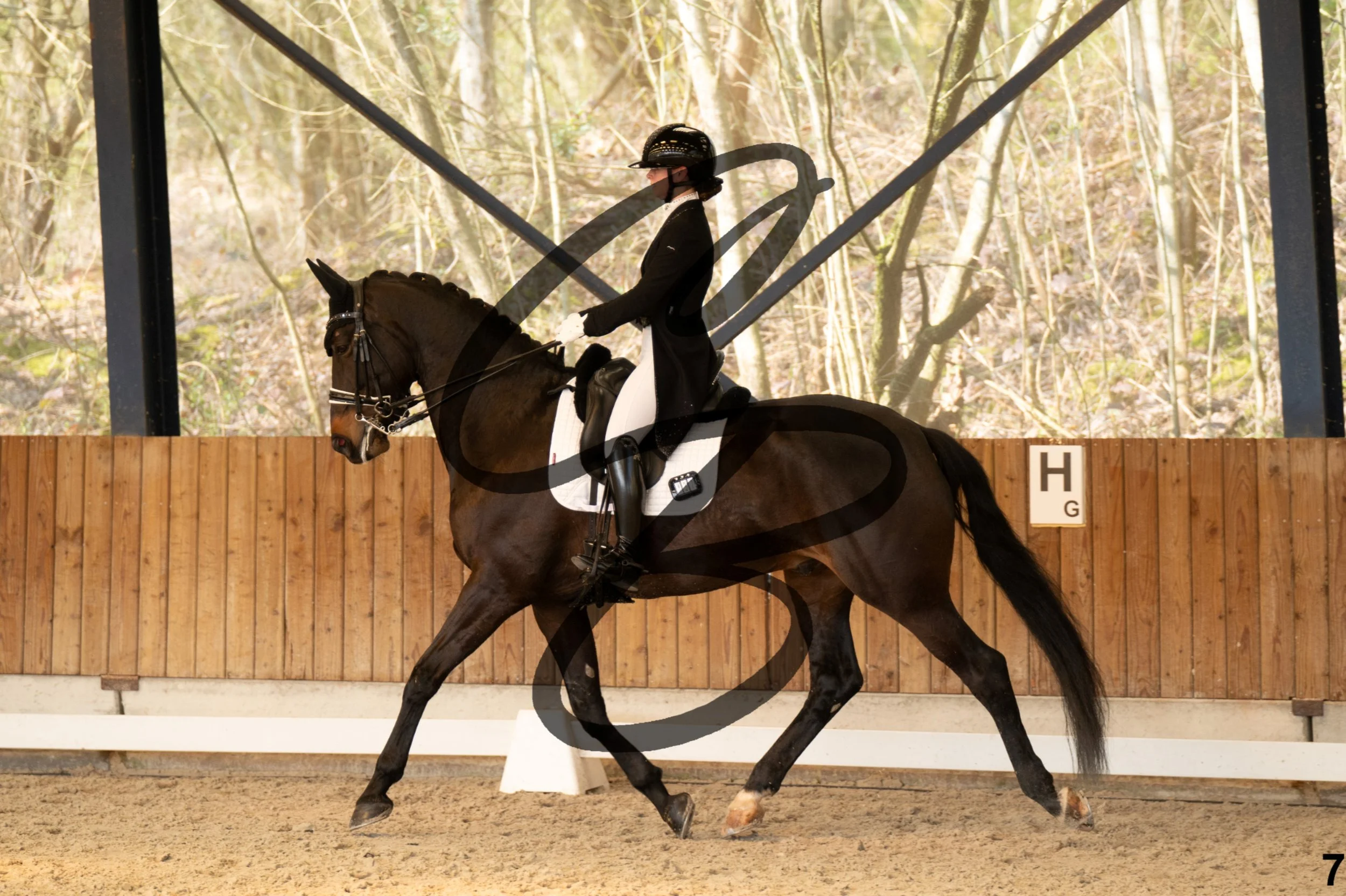 2026.03.22 - Niv5 - Young rider team-7.jpg