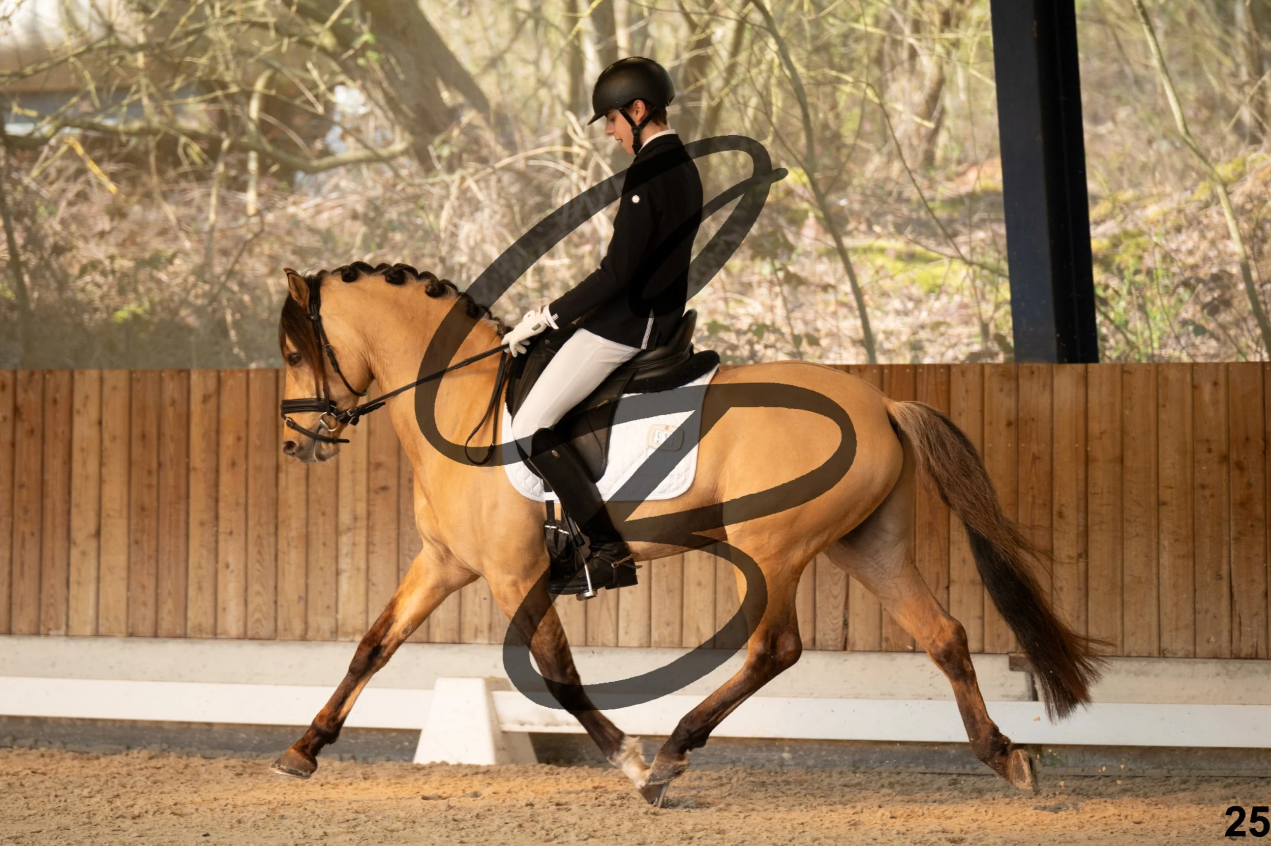 2026.03.22 - Niv3 - pony team test-25.jpg