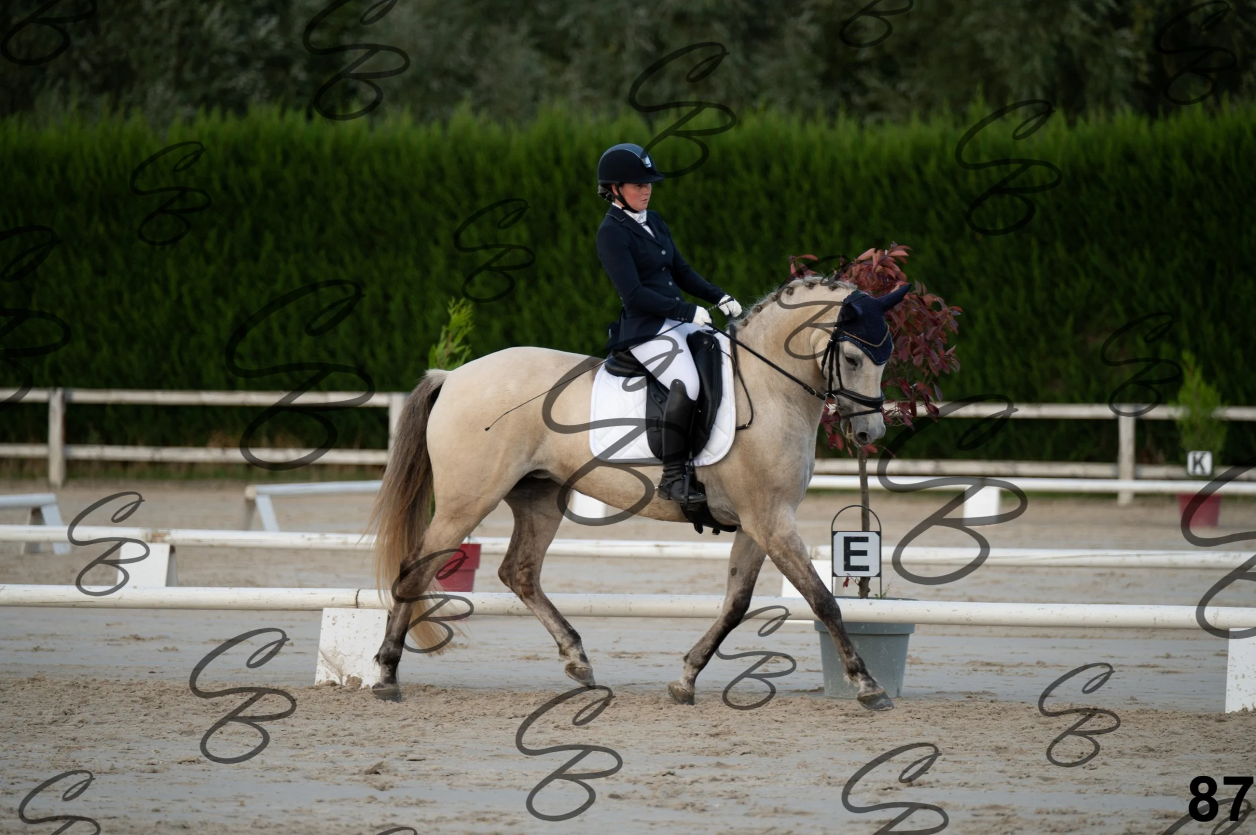 2026.09.20 - Djessy-87.jpg