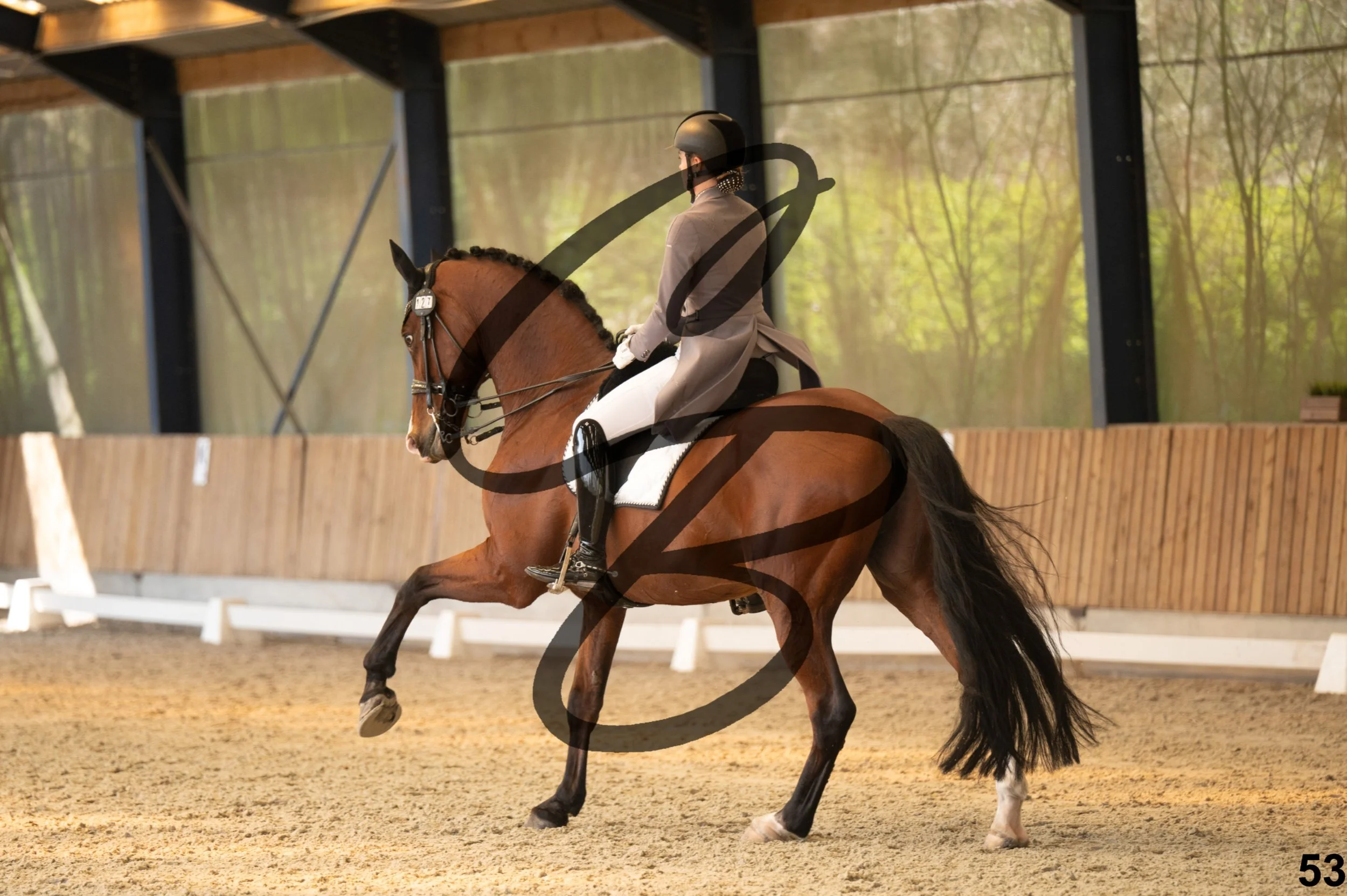 2026.03.22 - Niv5 - Young rider team-53.jpg