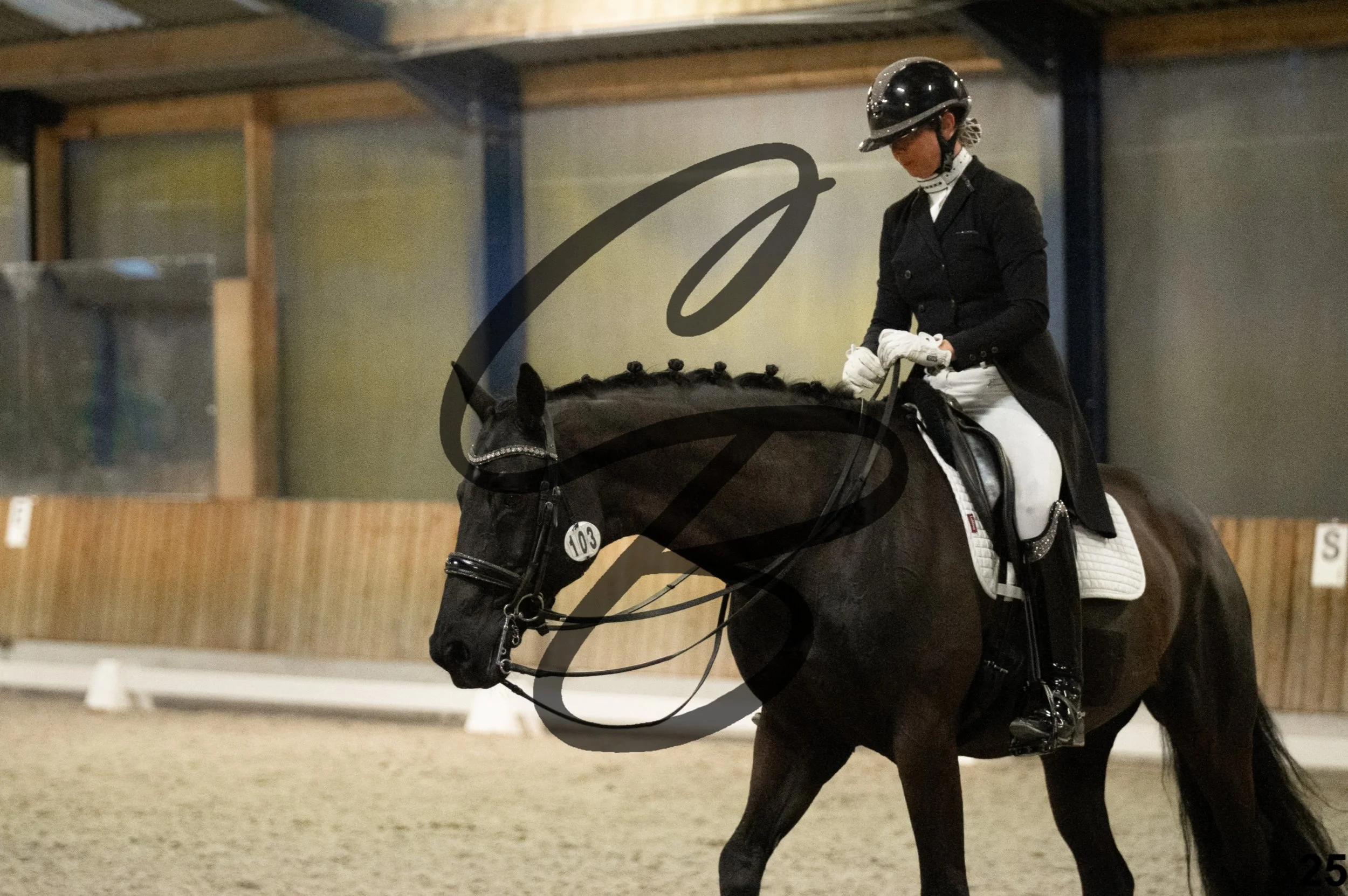 2026.03.22 - niv6 - Inter 1-25.jpg