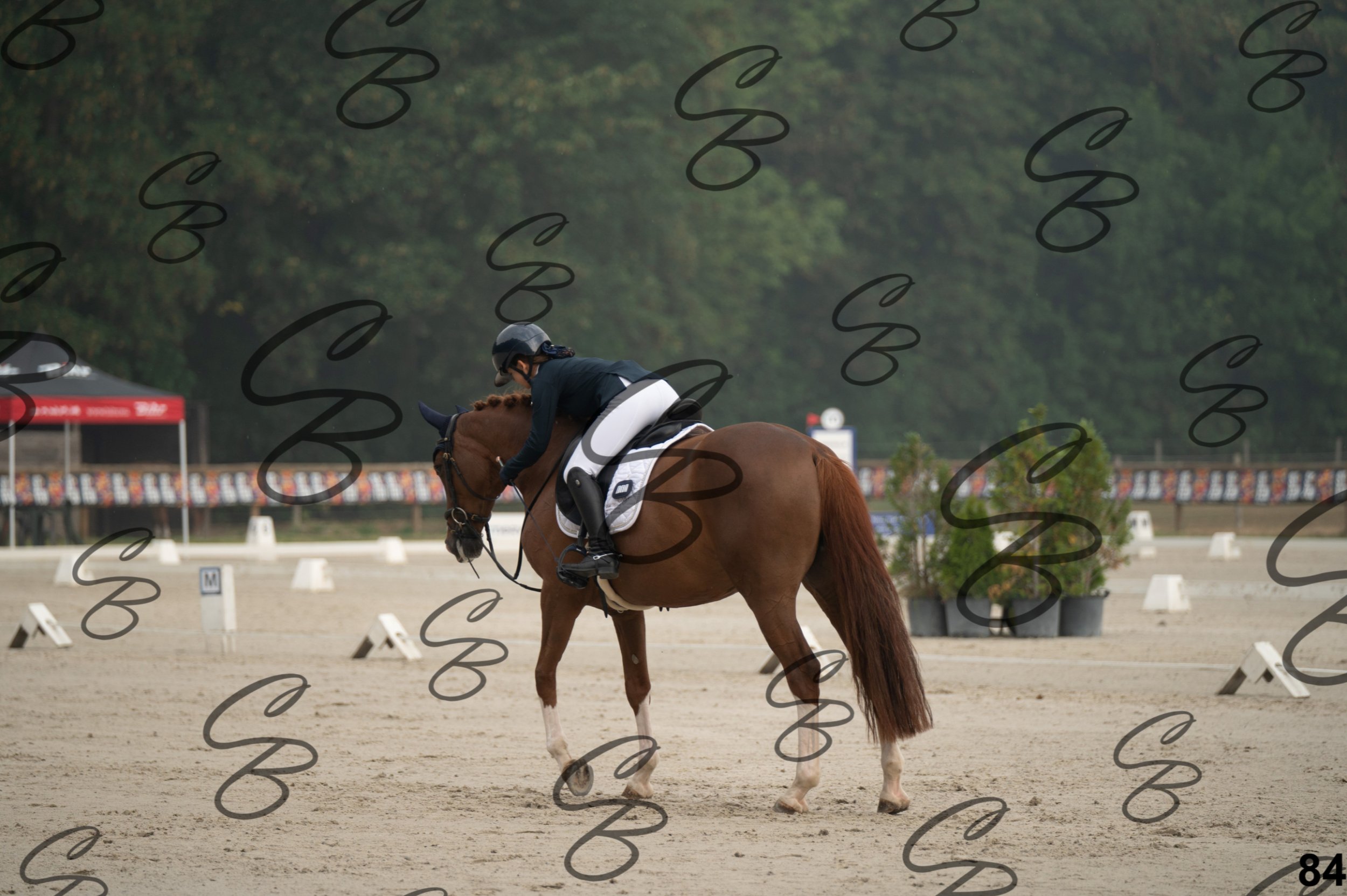 2026.08.15 - Louchier - GHO-121.jpg