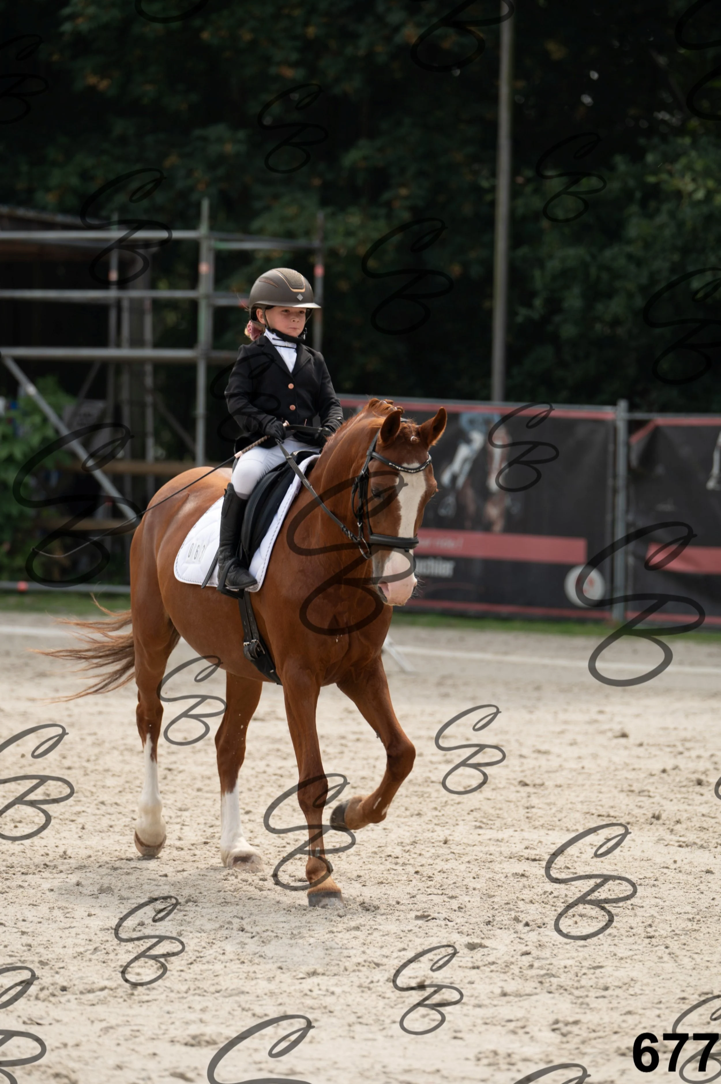 2026.08.15 - Louchier - GHO-777.jpg