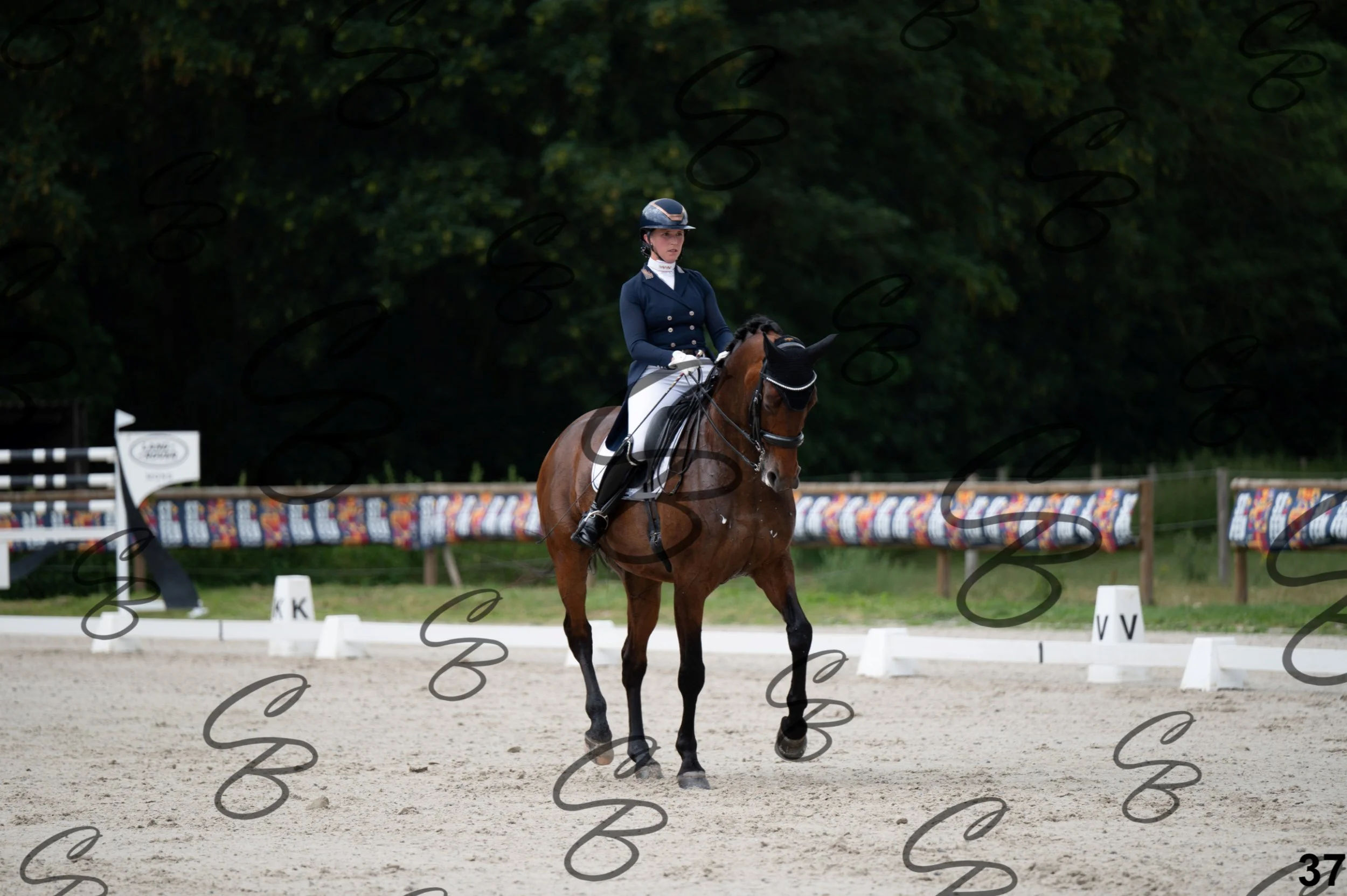 2026.07.04 - 2 Saidja Brison-13.jpg