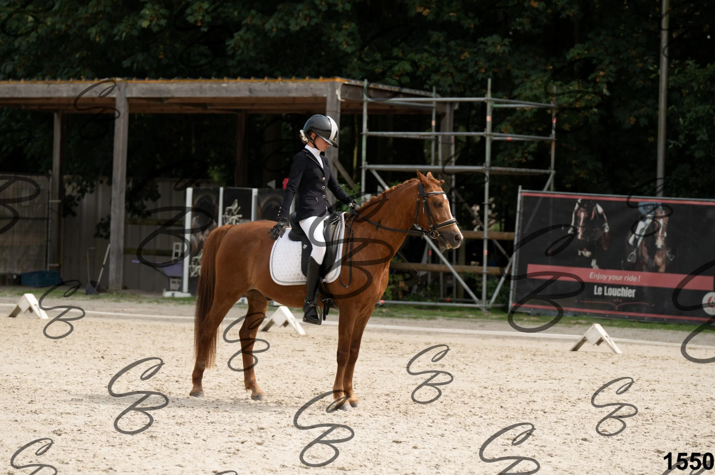 2026.08.15 - Louchier - GHO-1745.jpg
