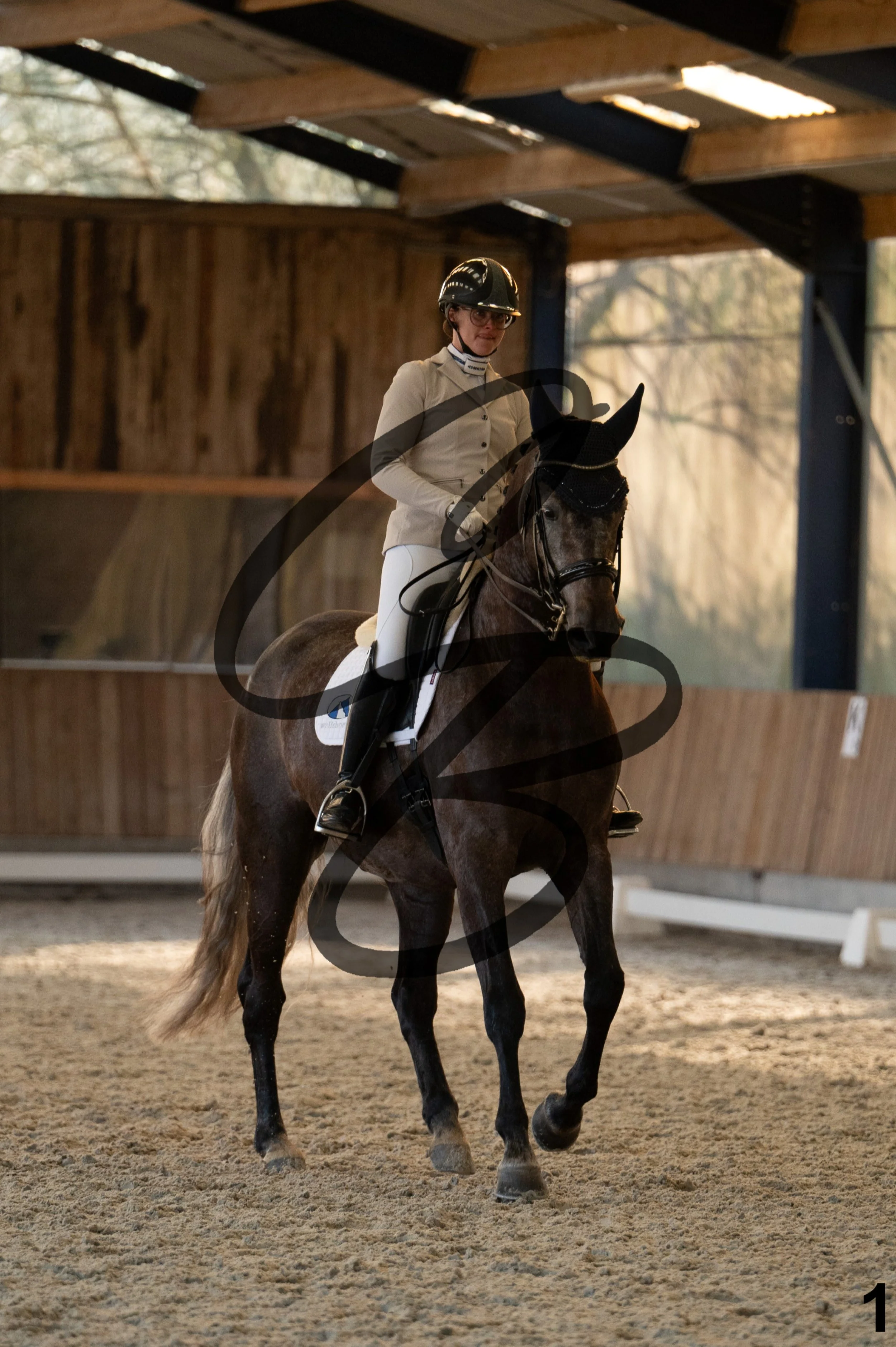 2026.03.22 - niv4.2-1.jpg