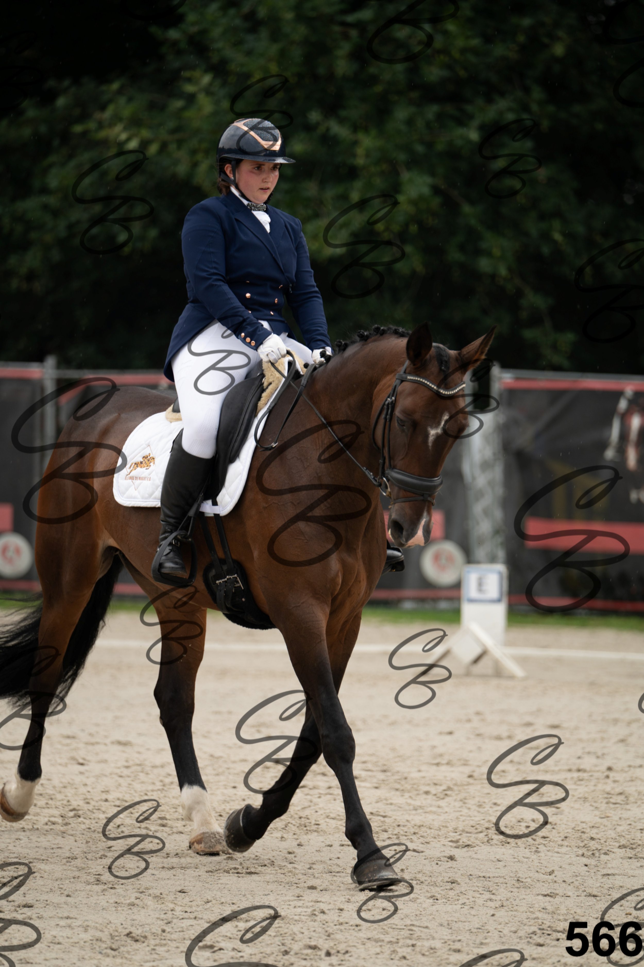 2026.08.15 - Louchier - GHO-500.jpg