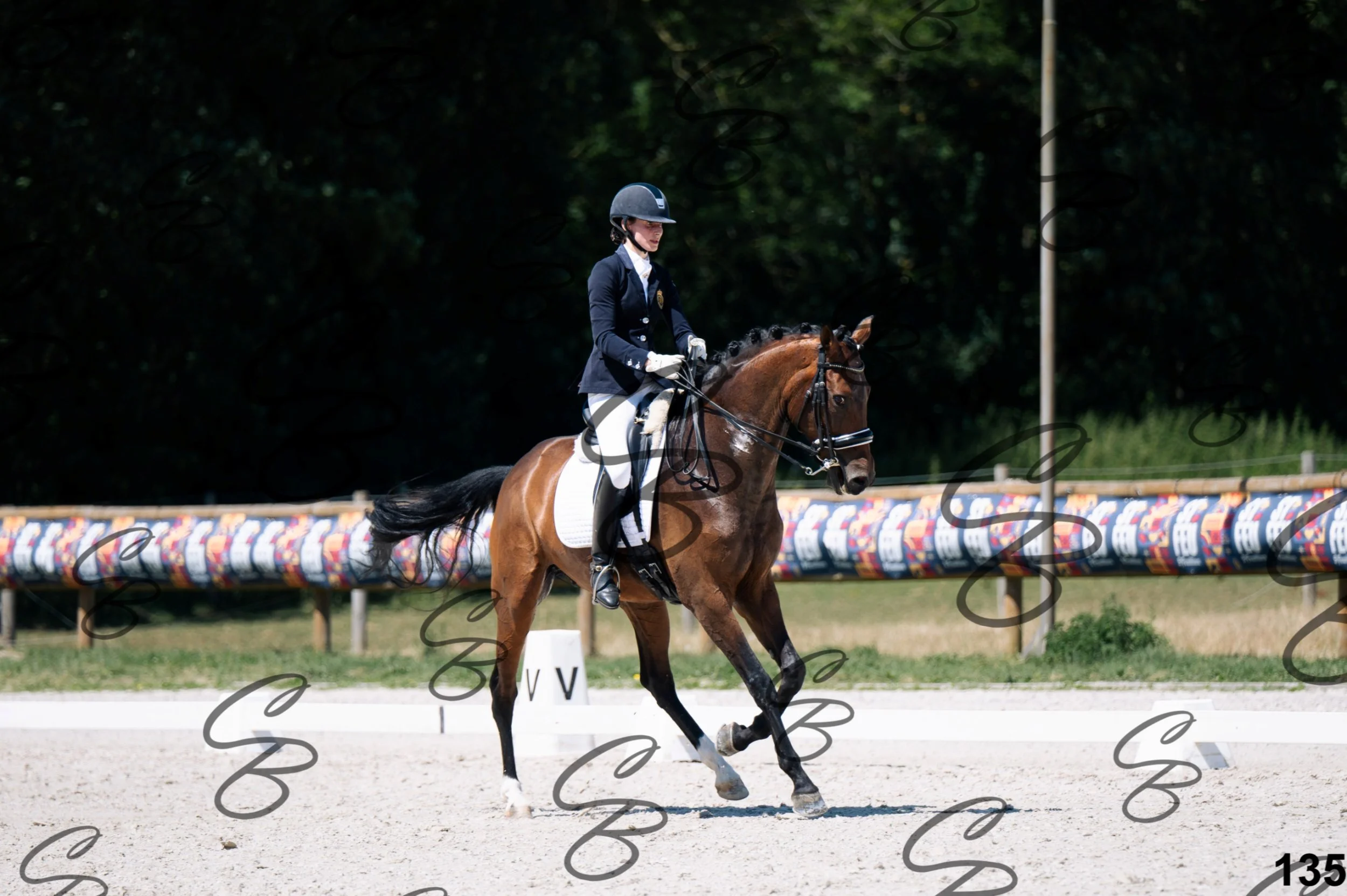 2026.07.12 - Niveau 4 - N4.3-135.jpg