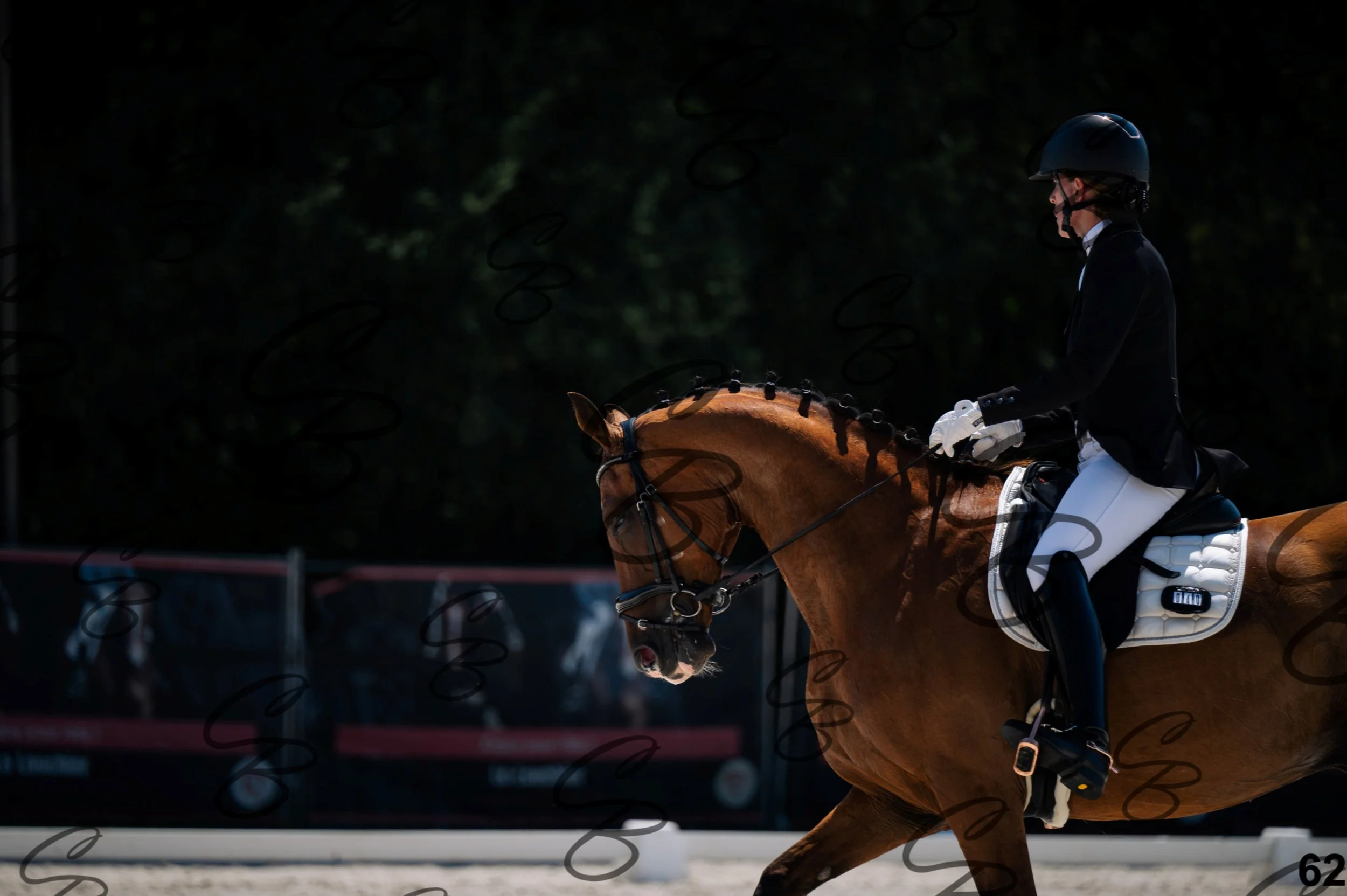 2026.07.12 - Niveau 1 - N1.5-62.jpg
