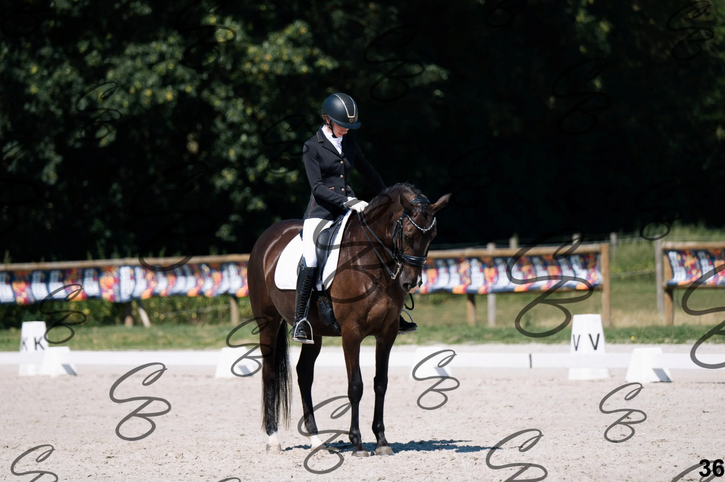 2026.07.12 - Niveau 4 - N4.3-36.jpg