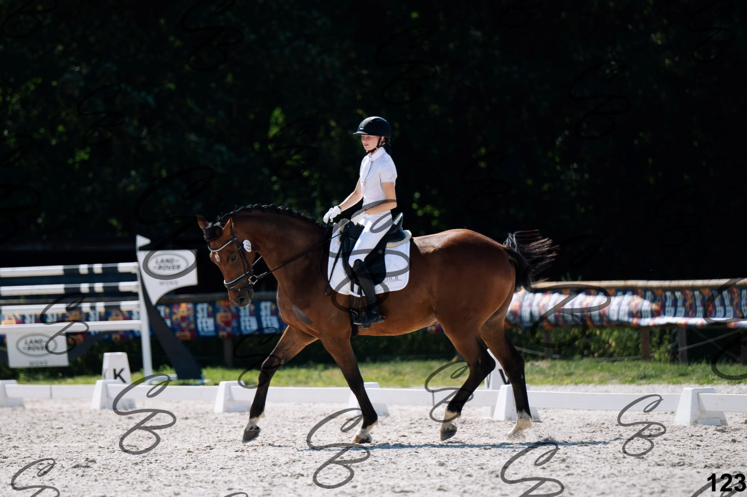 2026.07.12 - Niveau 2 - N2.4-123.jpg