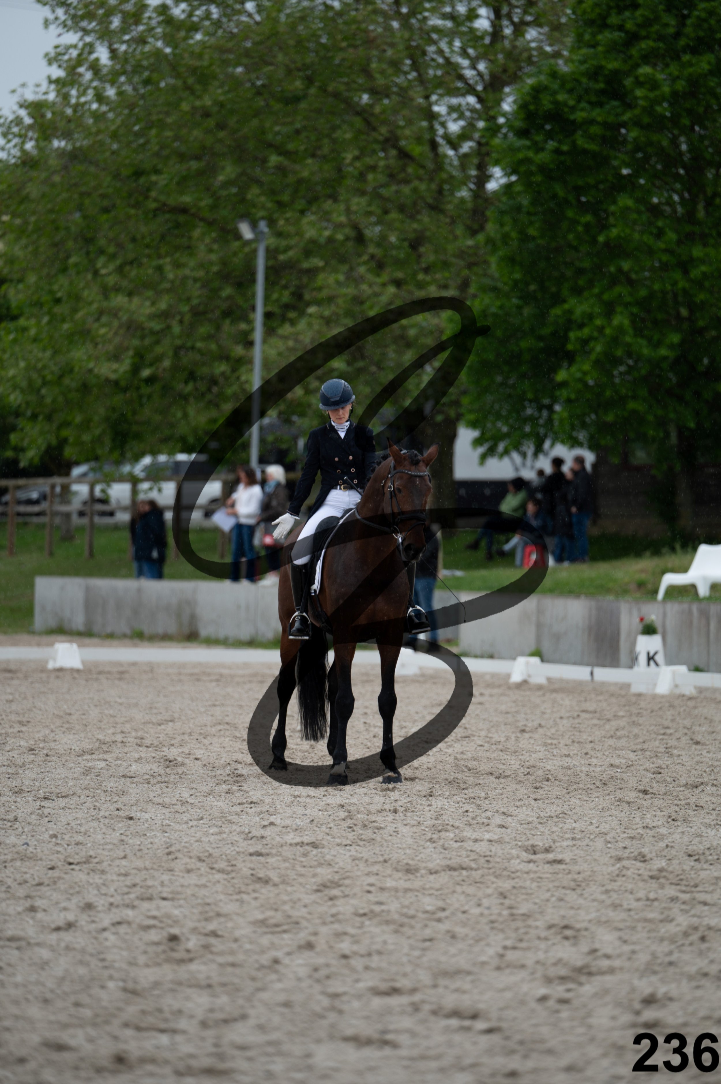 03052026-FLE_7170.jpg