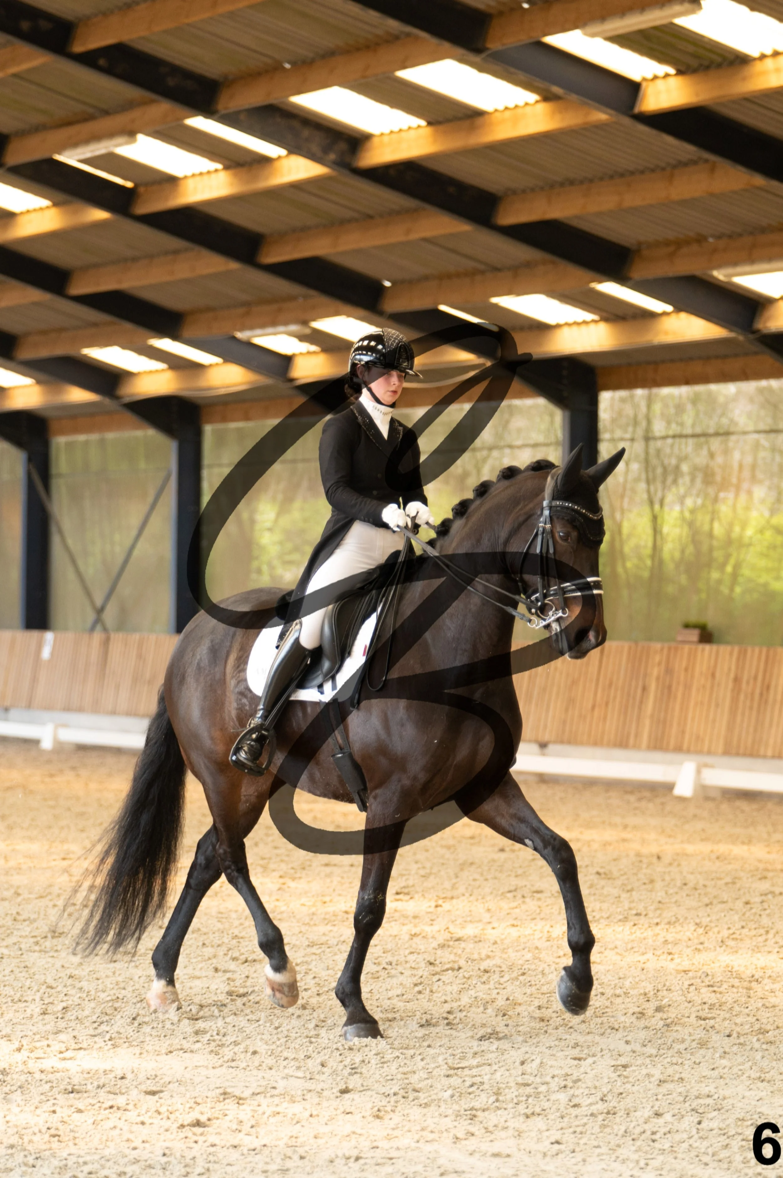 2026.03.22 - Niv5 - Young rider team-6.jpg