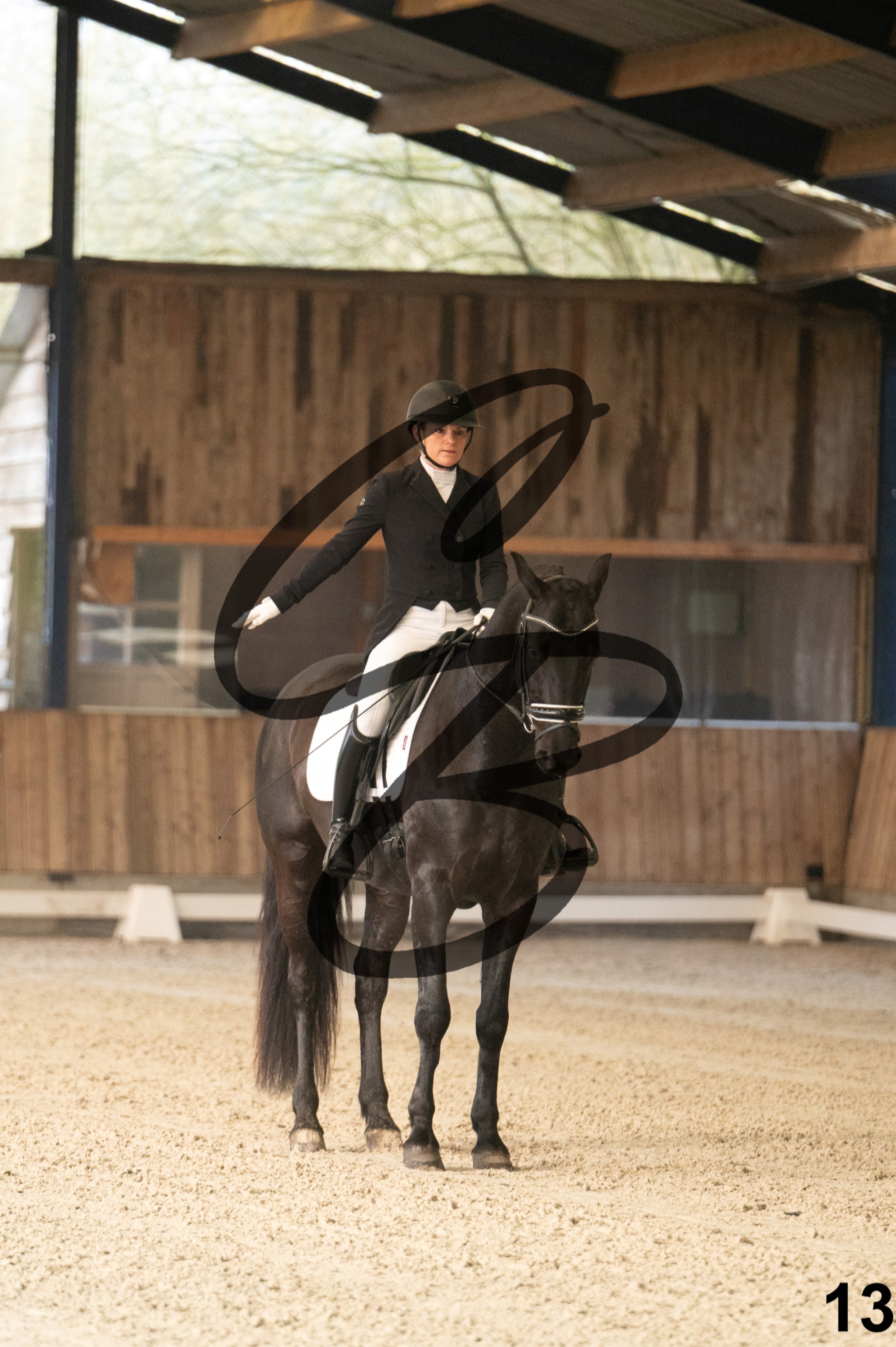 2026.03.22 - jeunes chevaux - 5ans-13.jpg