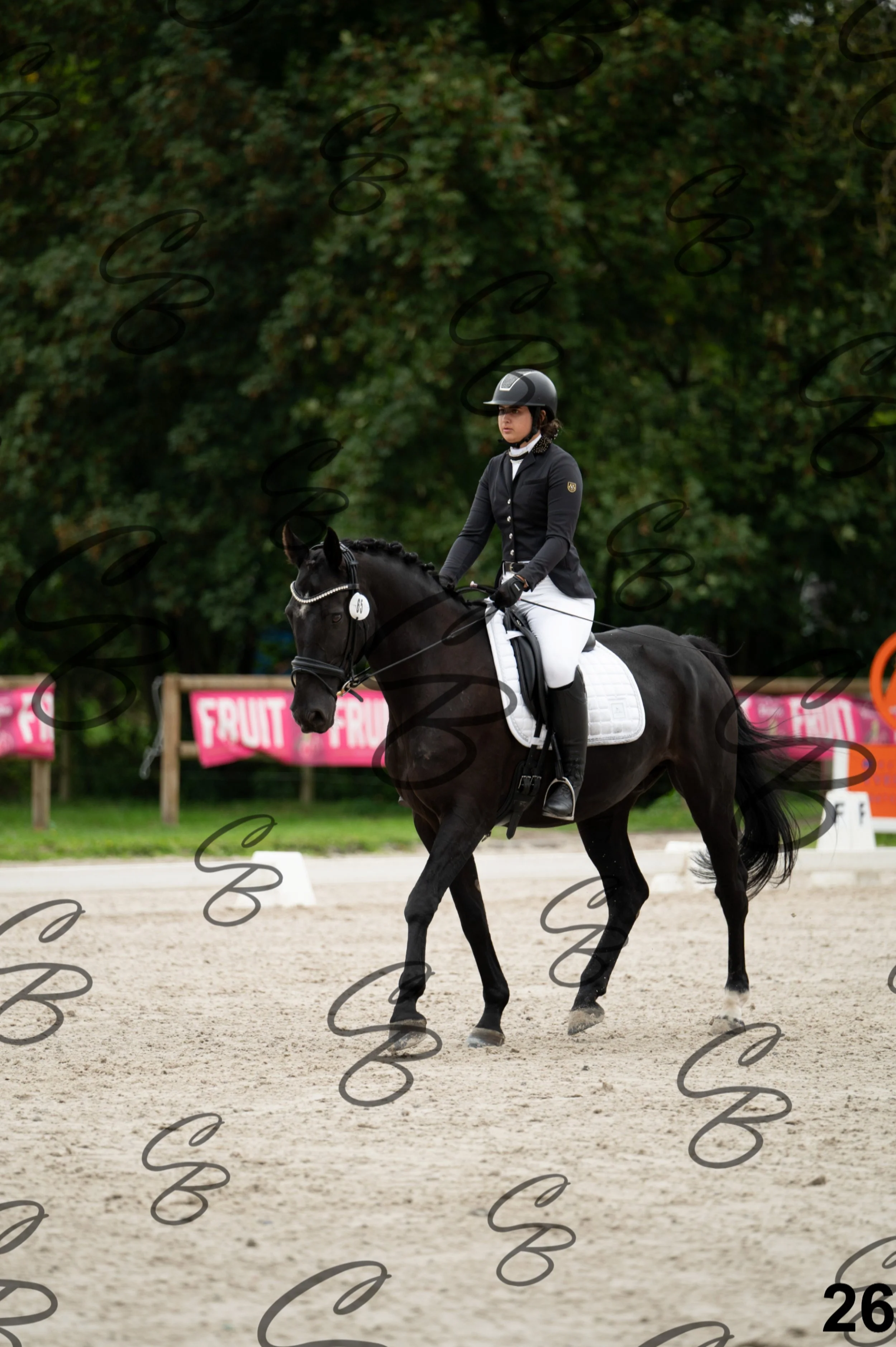 2026.09.13 - Reka-26.jpg
