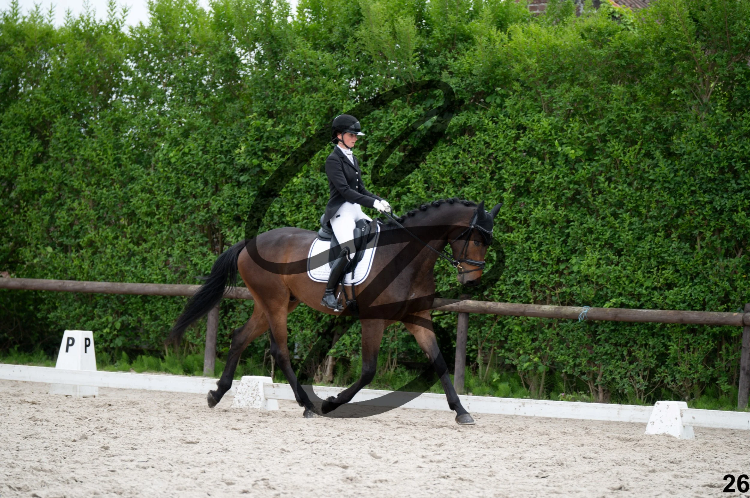 2026.05.10 - Manon & Win -26.jpg