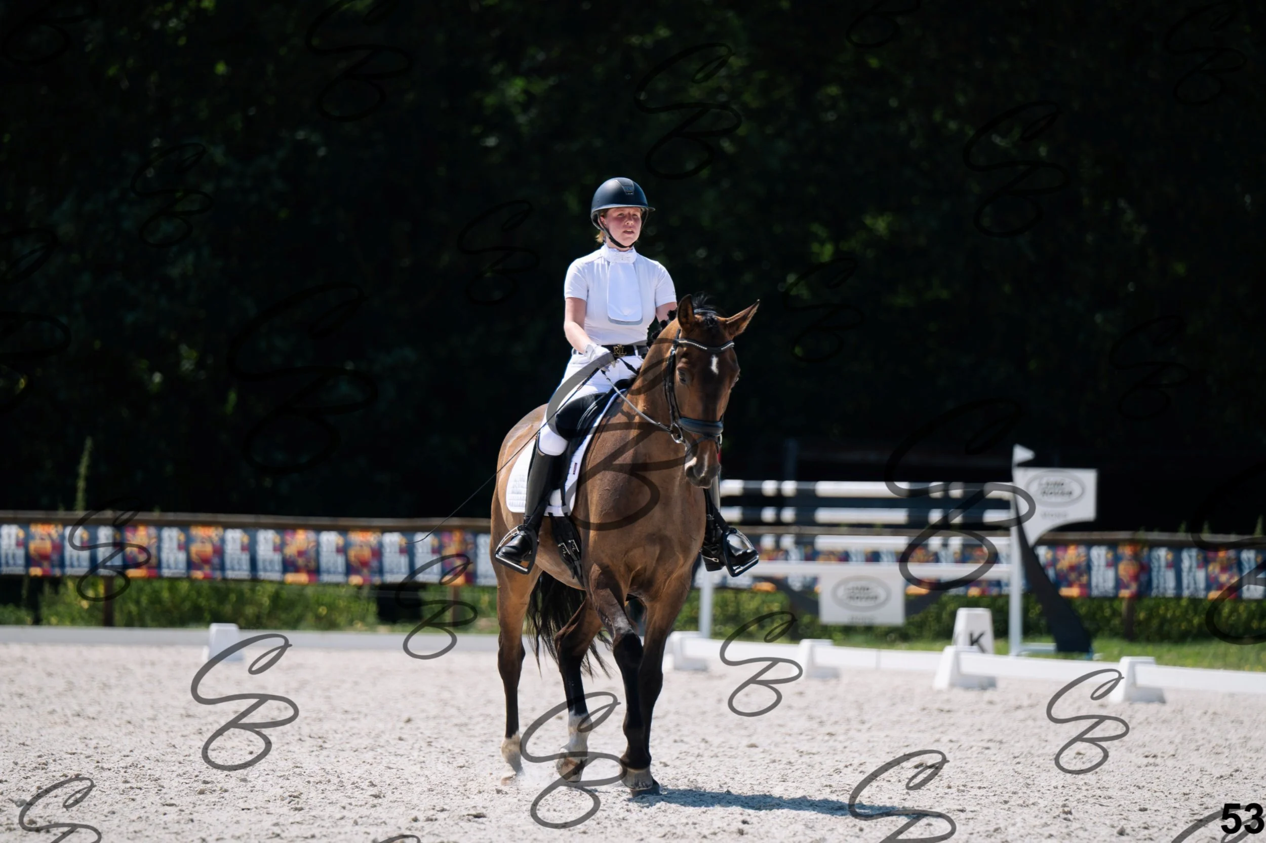 2026.07.12 - Niveau 2 - N2.4-53.jpg