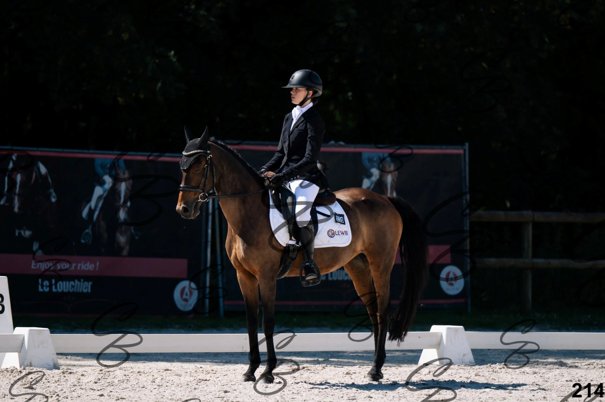2026.07.12 -106 Niveau Initiation Poneys - Ini.6-31.jpg